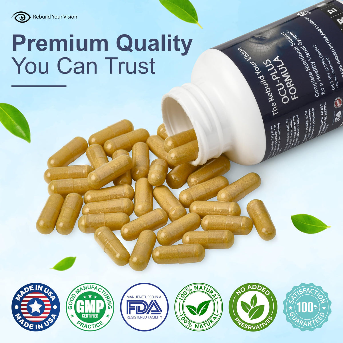 Rebuild Your Vision Ocu-Plus Formula – Eye Health Supplement with Lutein & Zeaxanthin – Supports Visual Clarity, Night Vision & Macular Health – with Bilberry, Ginkgo Biloba & NAC – 60 Capsules Rebuild Your VisionBuy Supplements Australia