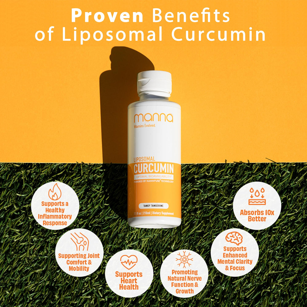 Manna Vitamins Evolved Liposomal Liquid Curcumin for Advanced Absorption Best Turmeric Supplement for Daily Joint & Immune Health Support - Vegan, Non-GMO, 95% Curcuminoids (1 Pack) Manna Vitamins EvolvedBuy Supplements Australia