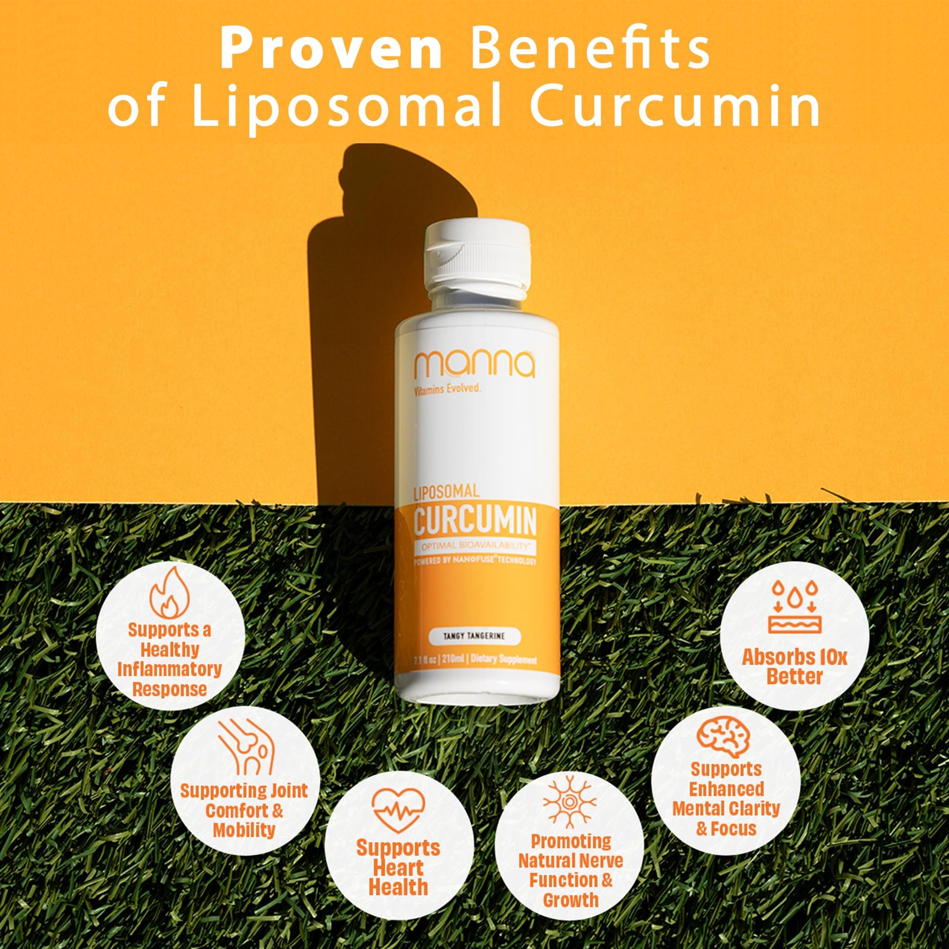 Manna Vitamins Evolved Liposomal Liquid Curcumin for Advanced Absorption Best Turmeric Supplement for Daily Joint & Immune Health Support - Vegan, Non-GMO, 95% Curcuminoids (1 Pack) Manna Vitamins Evolved buy supplements Au