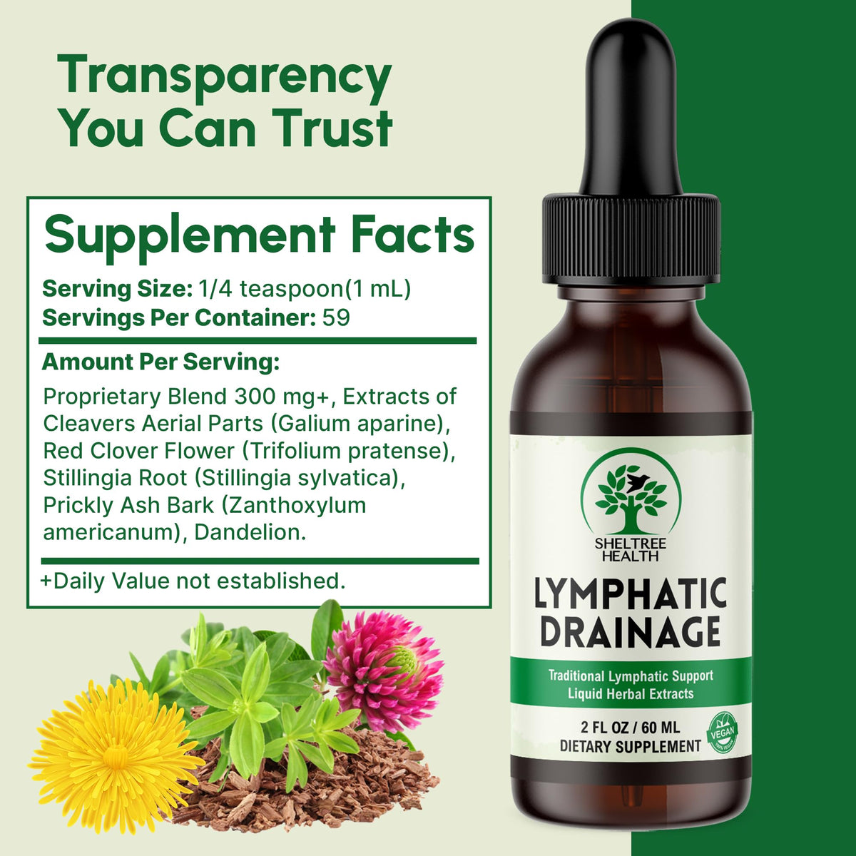 SHELTREE HEALTH Lymphatic Drainage Drops, 2 Fl. Oz | Organic Lymphatic Drainage Supplements with Cleavers, Red Clover Flower, Stillingia Root, Prickly Ash Bark, Dandelion | Vegan | Non-GMO SHELTREE HEALTH buy supplements Au