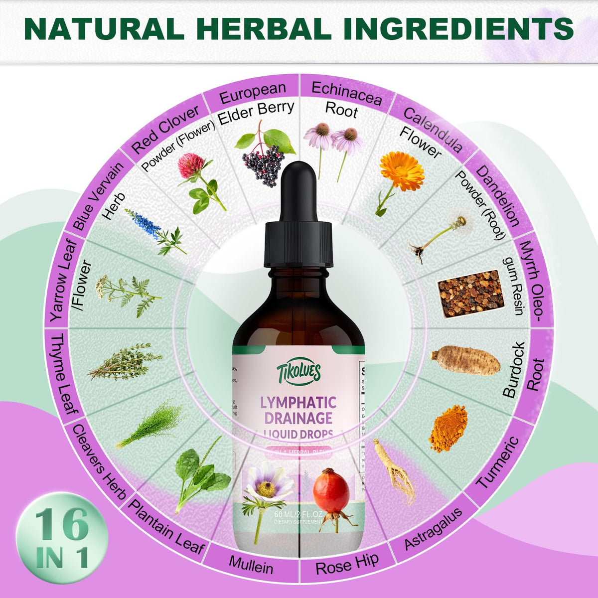 TIKOLUES Lymphatic Drainage Drops | Organic Lymphatic Cleanse Immune Support Supplement | Lymphatic Support with Echinacea & Elderberry | Herbal Blend | Non-GMO | 2 Fl Oz TIKOLUES buy supplements Au