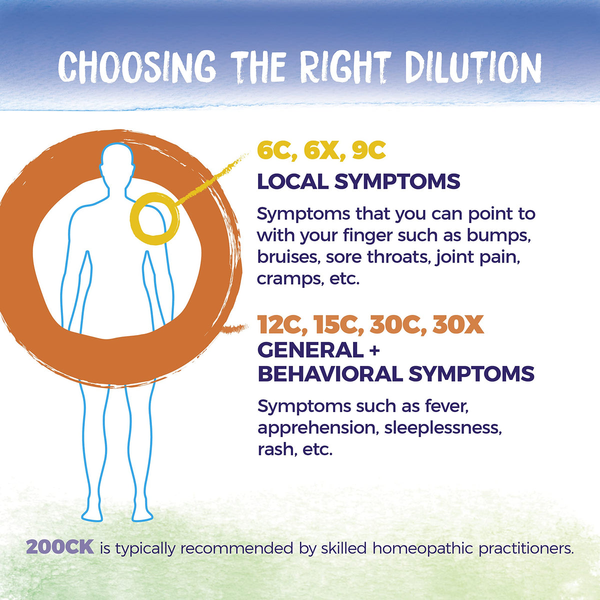 Boiron Bryonia 6X Homeopathic Medicine for Muscle & Joint Pain - 80 Pellets BoironBuy Supplements Australia