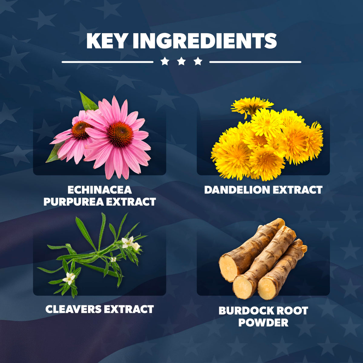 AMERICAN VITALITY LymphaVive Lymphatic Drainage Supplements for Men & Women - Lymphatic Support with Bromelain, Echinacea, Burdock Root, Dandelion, Rutin, Kelp - 60 Capsules AMERICAN VITALITY buy supplements Au