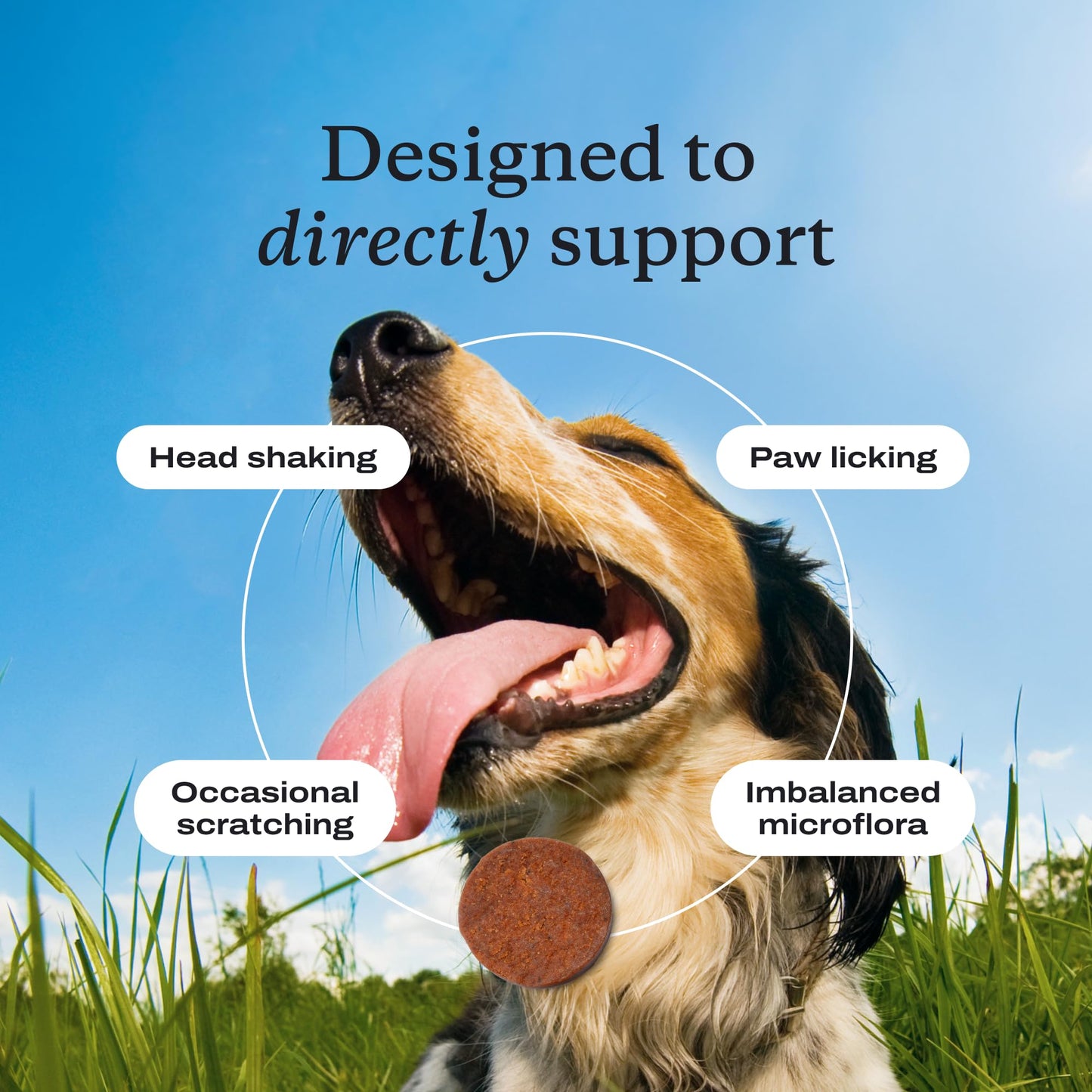 PetLab Co. Allergy & Immune Probiotic Chews, 30 Soft Chews, Small Dogs | Size-specific omega-3s, colostrum and prebiotics to support yeast balance, skin health and immune function