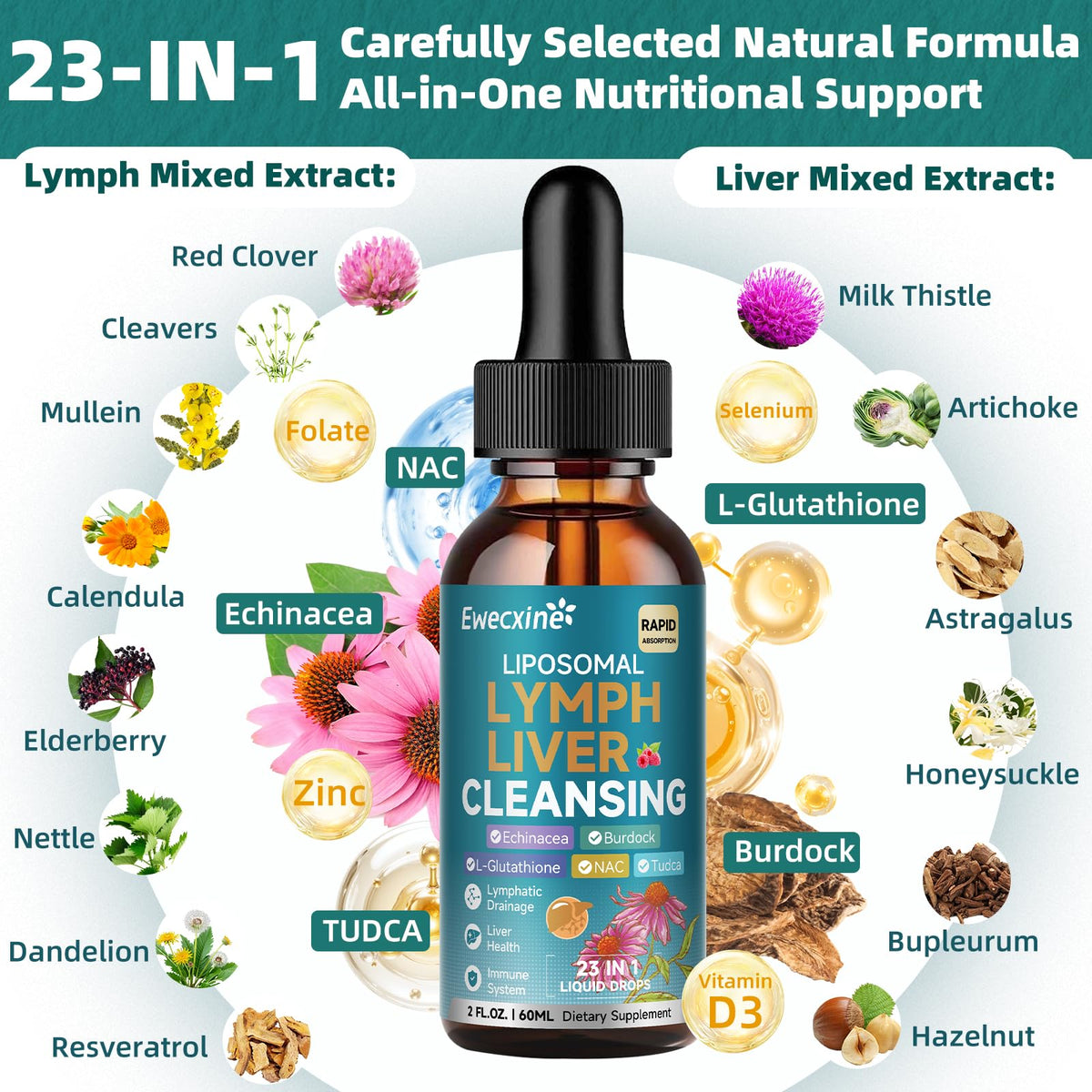 Liposomal Lymphatic Drainage & Liver Cleanse Drops, 23-in-1 with Echinacea, NAC, TUDCA, L-Glutathione, Burdock for Lymph, Liver Detox & Repair, Immune Support, Raspberry Flavor, 2 fl oz Supplement Ewecxine buy supplements Au