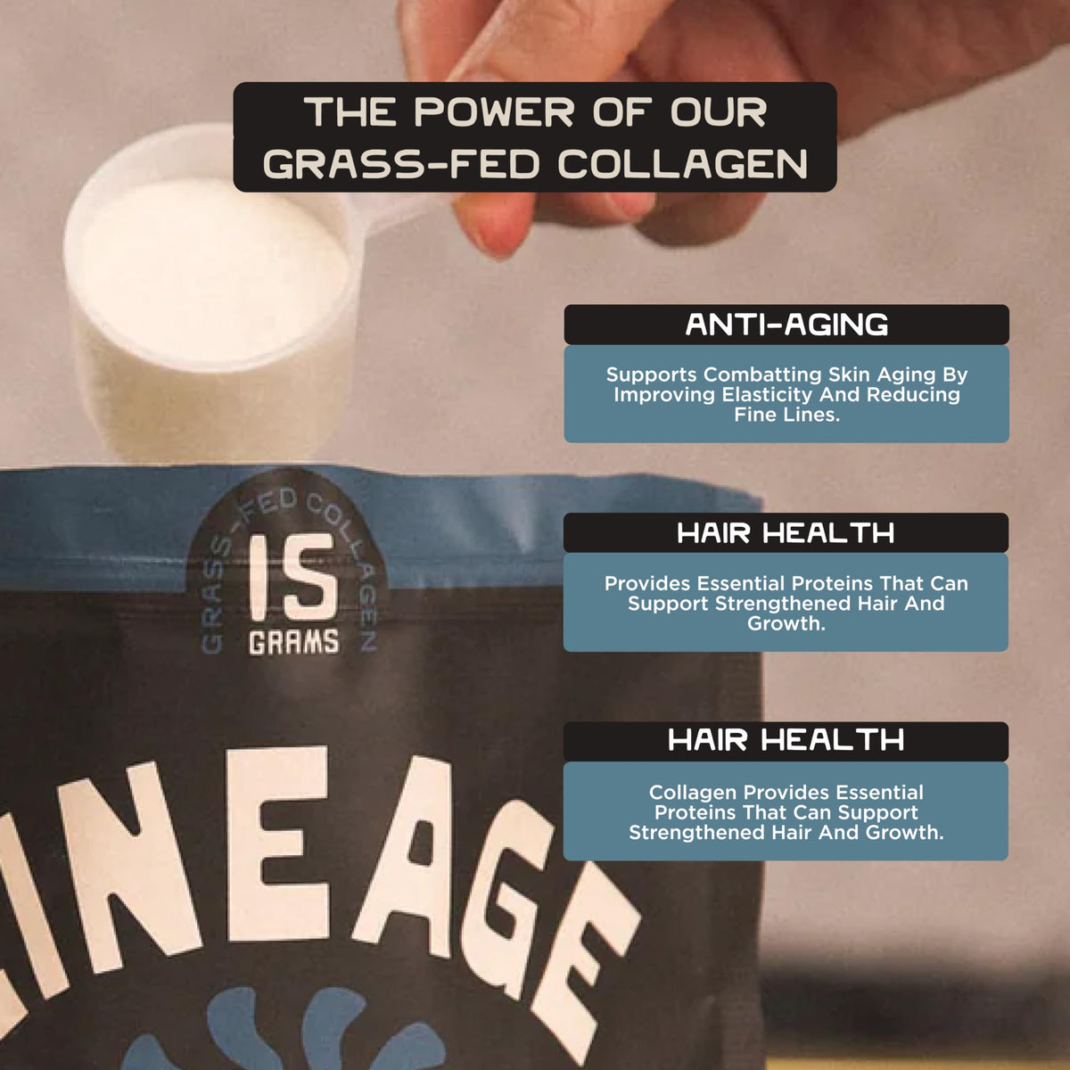 Lineage Provisions 100% Grass Fed Collagen Powder UNFLAVORED – Hydrolyzed Bovine Collagen Peptides with Trachea, Scapula, Eggshell Membrane – Collagen Protein Powder with Vitamin C – 30 Servings Lineage Provisions buy supplements Au