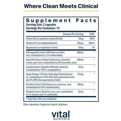 Vital Nutrients Cortisol Balance | Vegan Adrenal Support Supplements | Cortisol Manager Supports Energy & Stress Levels | Ashwagandha & Magnesium for Relaxation | Gluten, Dairy, Soy Free | 90 Capsules Vital Nutrients buy supplements Au