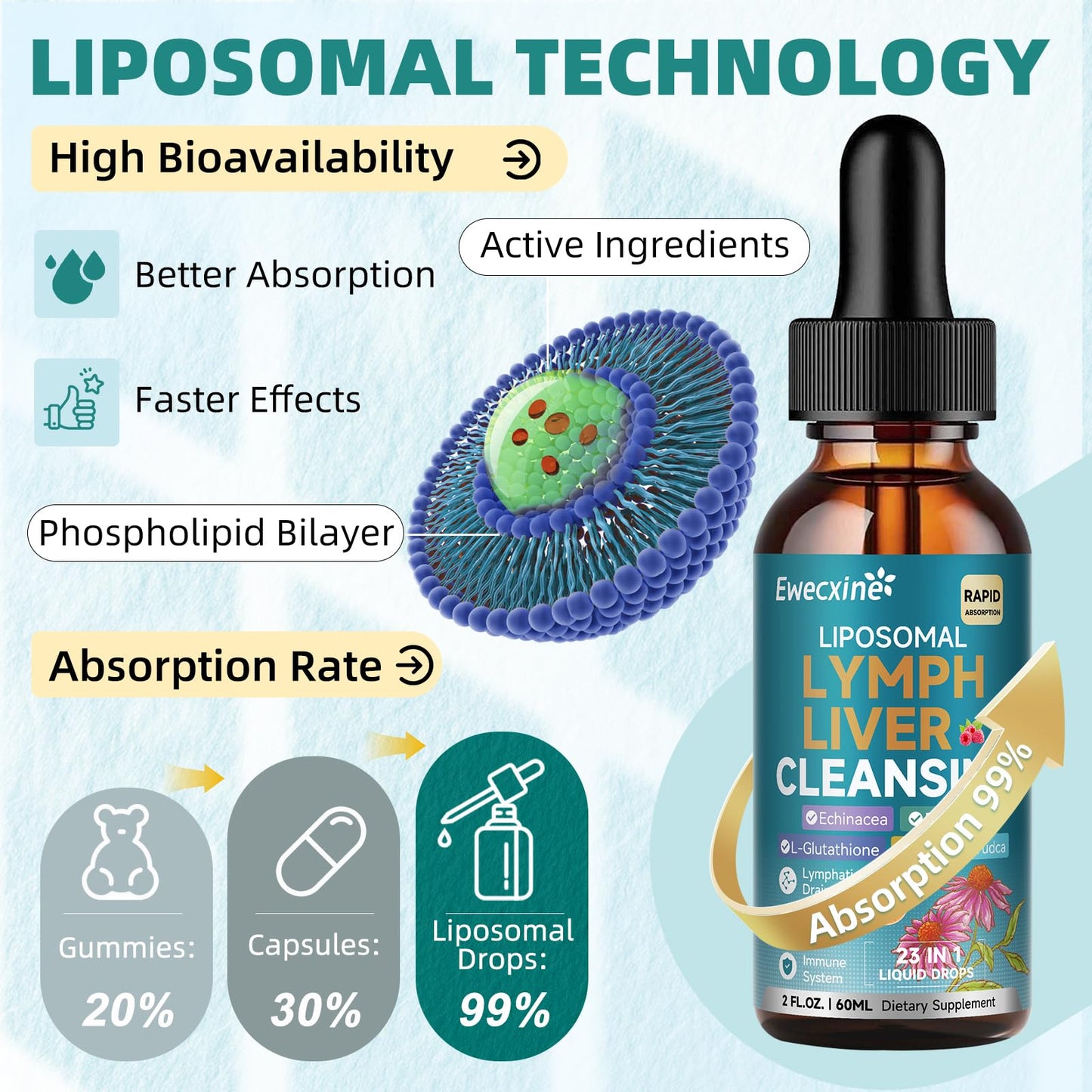 Liposomal Lymphatic Drainage & Liver Cleanse Drops, 23-in-1 with Echinacea, NAC, TUDCA, L-Glutathione, Burdock for Lymph, Liver Detox & Repair, Immune Support, Raspberry Flavor, 2 fl oz Supplement Ewecxine buy supplements Au