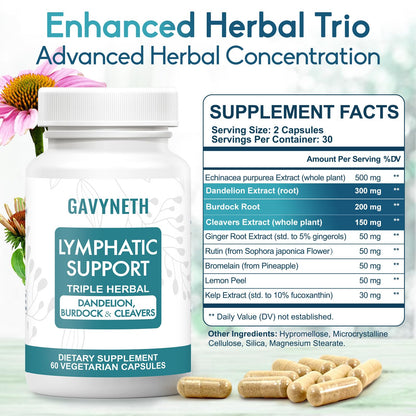GAVYNETH Lymphatic Drainage Supplements for Lymph System Support – Echinacea, Dandelion & Burdock for Immune & Circulation Support, Vegan Herbal Formula for Women & Men, 60 Capsules GAVYNETH buy supplements Au