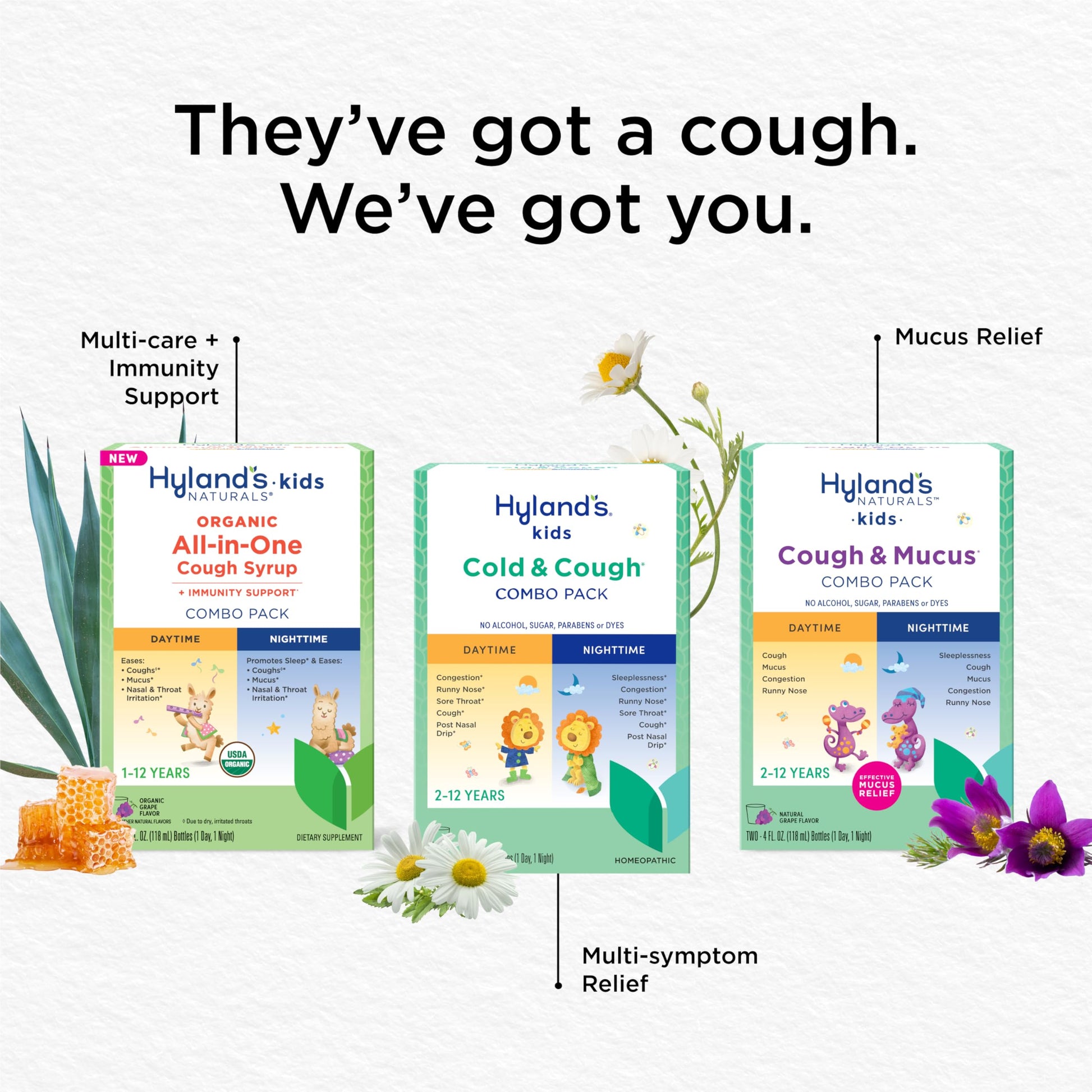 Hyland's Kids Cold and Cough, Day and Night Combo Pack, Cold Medicine for Ages 2 and up, Syrup Cough Medicine for Kids, Nasal Decongestant, 4 Fl Oz (Pack of 2) Hyland's buy supplements Au