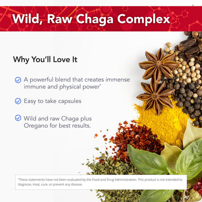 Physician's Strength ChagaStrength - 90 Capsules - Wild, Raw Chaga Complex - Immune & Physical Support - Non-GMO - 90 Servings Physician's Strength buy supplements Au
