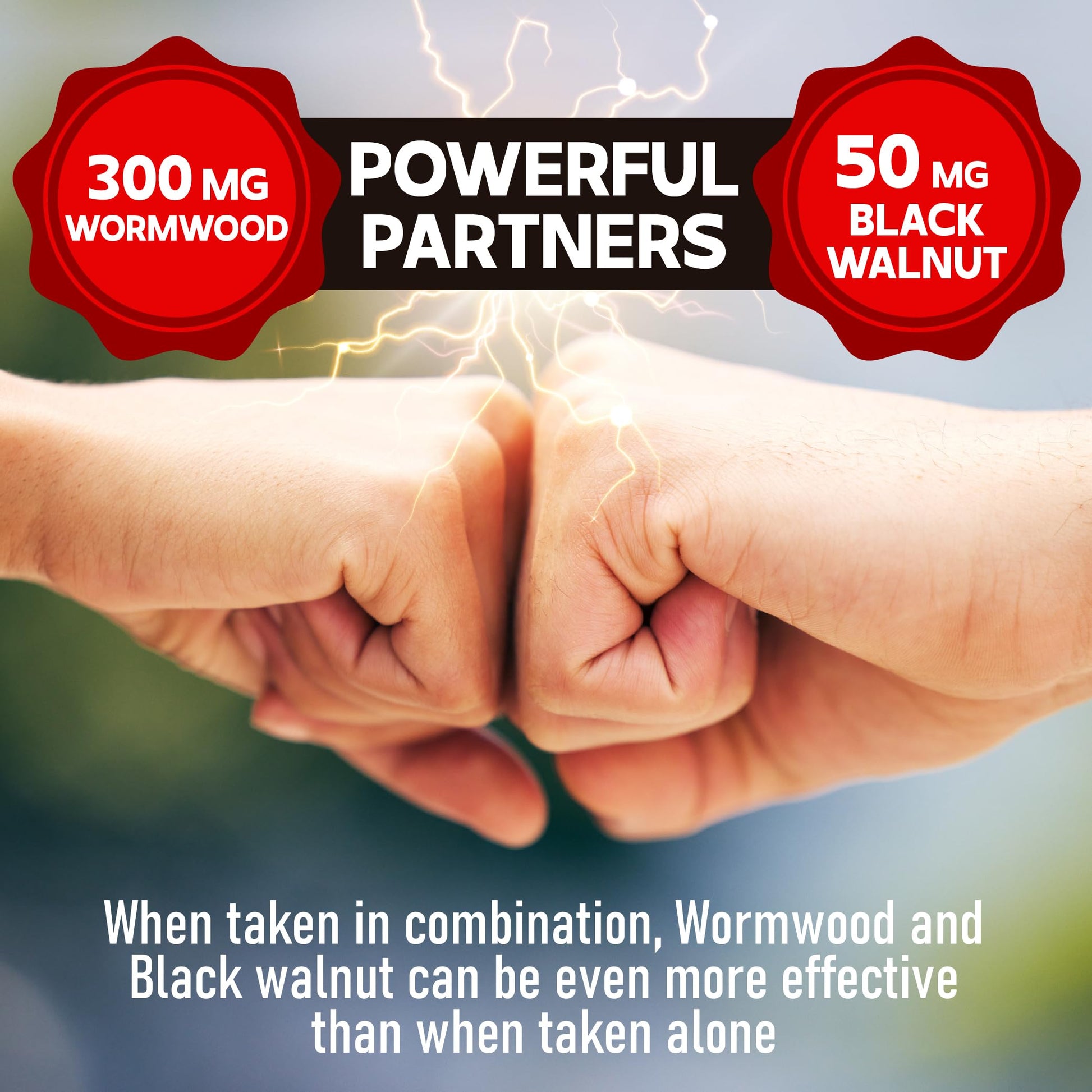 DEDICAD Wormwood Capsules - 12 Herbs Blended Black Walnut, Cloves, Ginger, Turmeric, Cinnamon, Apple, Quassia - 2 Packs 50 Capsules DEDICAD buy supplements Au