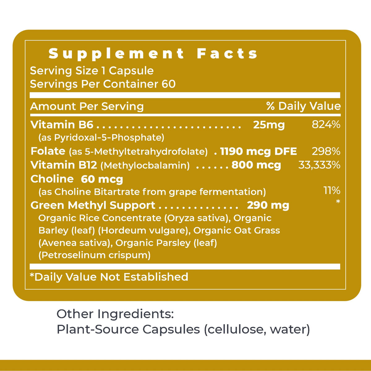 Premier Research Labs Phyto Methylate - B Vitamin Supplement - Supports Methylation, Detox, Brain & Heart Health - 5-MTHF & P5P - 60 Plant-Source Capsules Premier Research LabsBuy Supplements Australia