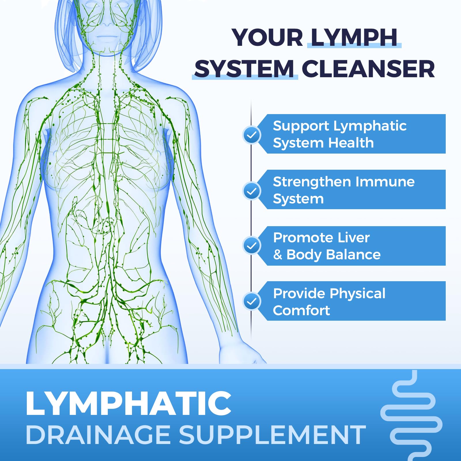 Lymphatic Drainage Supplements for Lymph System Cleanse & Immune Support, Lymphatic Support Supplement, Detox & Liver Health, Natural Herbal Blends with Echinacea, Dandelion, Burdock, 60 Capsules SOPMYBFRU buy supplements Au