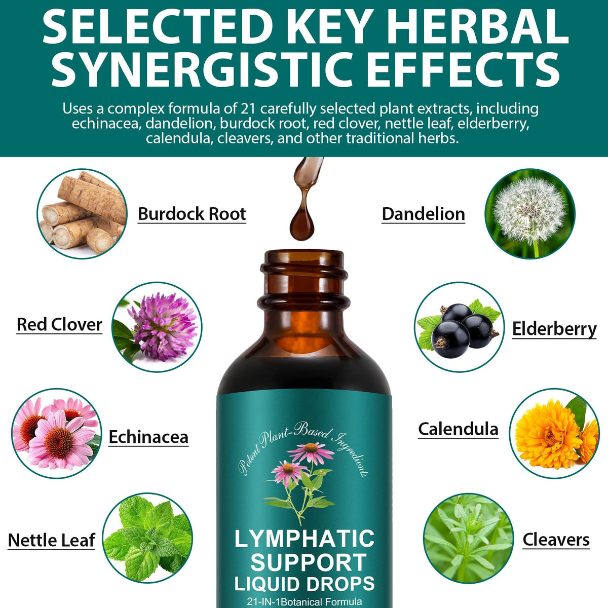 Lymphatic Drainage Drops, Natural Lymph Cleanse & Immune Support Supplement with Echinacea, Dandelion, Elderberry, Cleavers, Astragalus & Burdock, 2 FL OZ (1) Frovetani buy supplements Au