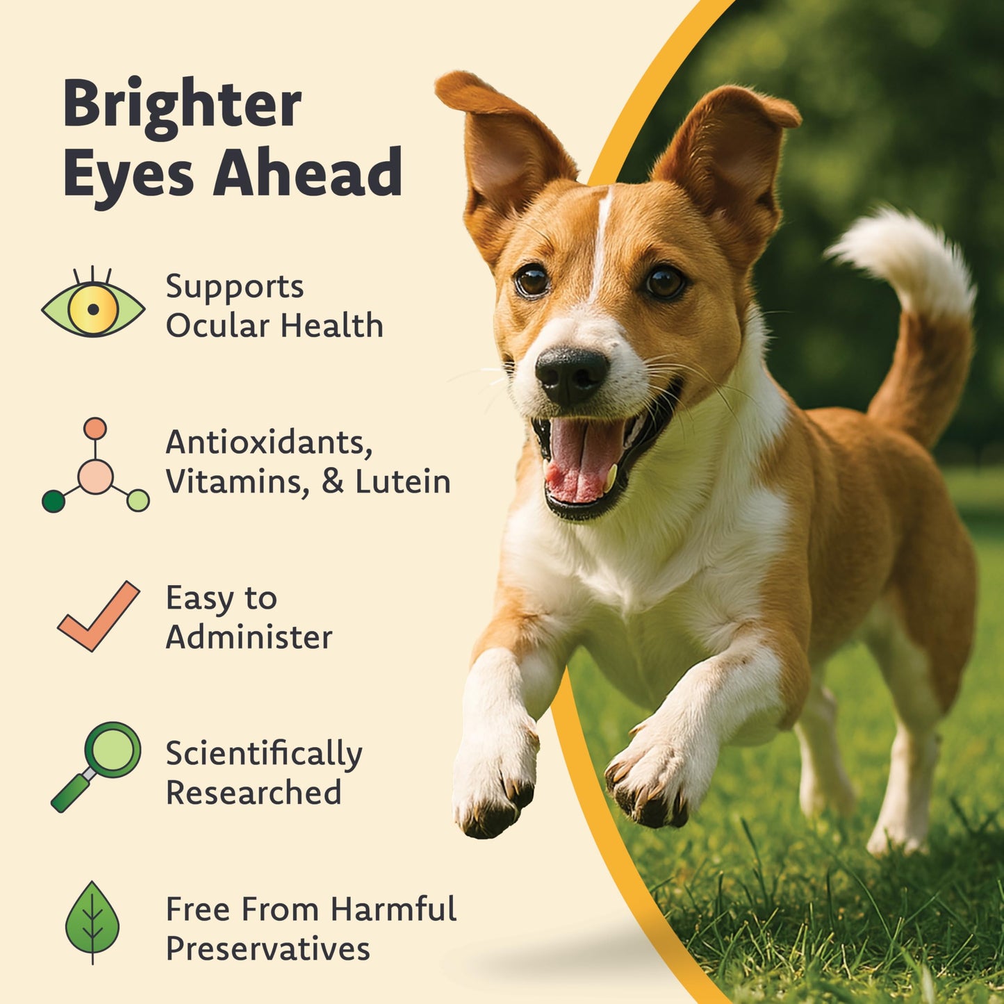 Cat & Dog Supplement for Eye Support - Chewable Vision Vitamins Supplements for Large and Small Pets Care with Lutein, Omega-3 Fatty Acids, Grape Seed Extract & Antioxidants