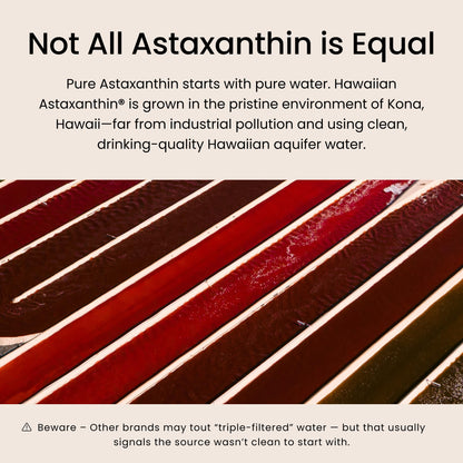 Nutrex Hawaii BioAstin Hawaiian Astaxanthin - 4mg, 60 Softgels - Farm-Direct Premium Antioxidant Supplement to Support Eye, Skin, Joint & Immune System Health - Non-GMO & Gluten-Free Nutrex Hawaii buy supplements Au