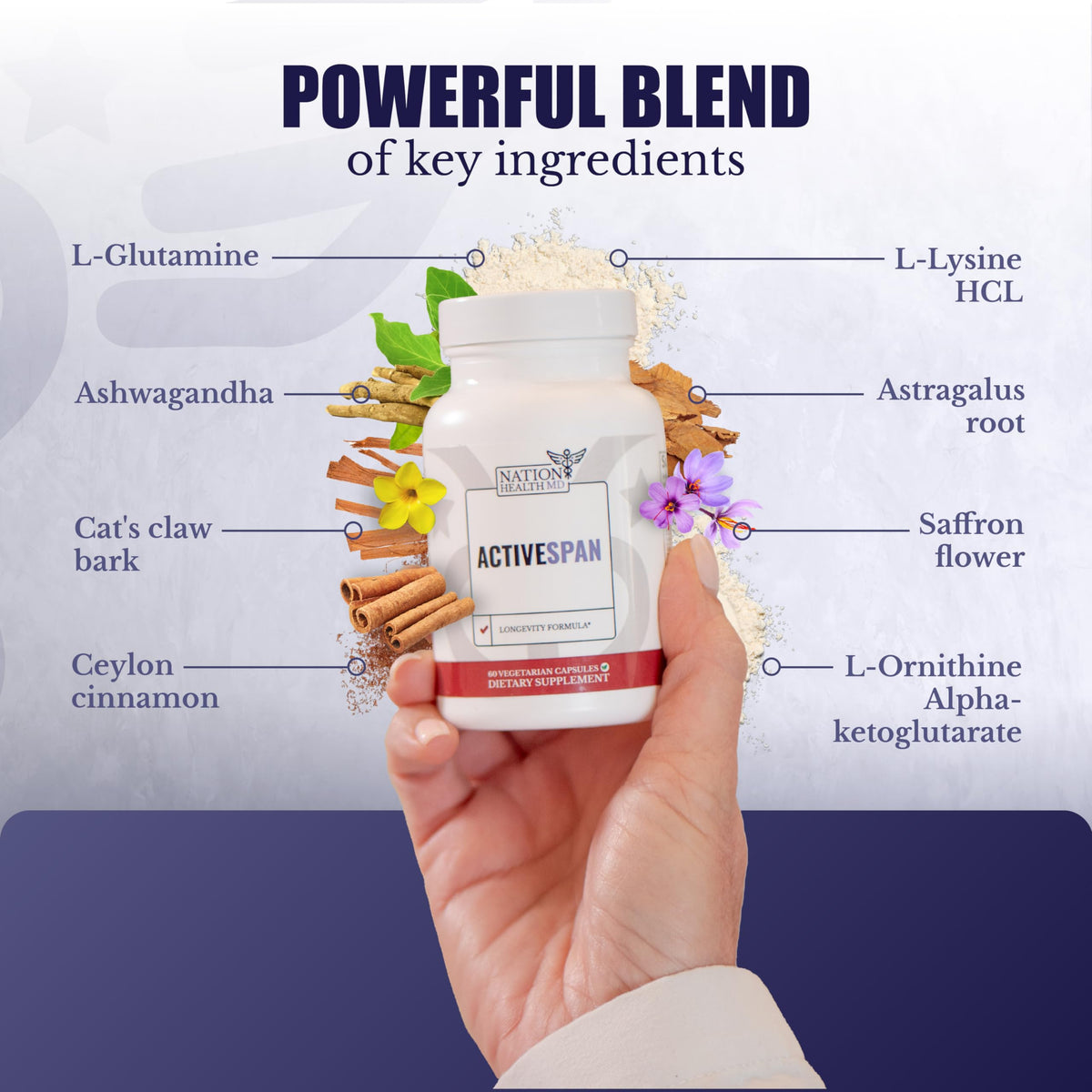 NATION HEALTH MD ActiveSpan - Longevity Supplement for Anti Aging - with Ashwagandha Extract, Astragalus, Cat's Claw, Ceylon Cinnamon, L-Lysine, L-Glutamine & More - 60 Capsules NATION HEALTH MDBuy Supplements Australia