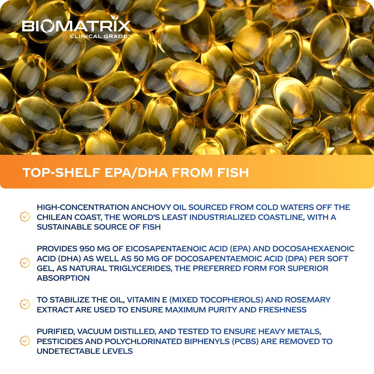 Support Omega EPA DHA Omega 3 Fish Oil Supplement - Cardiovascular, Musculoskeletal Support (120 Gel Capsules) BioMatrix buy supplements Au