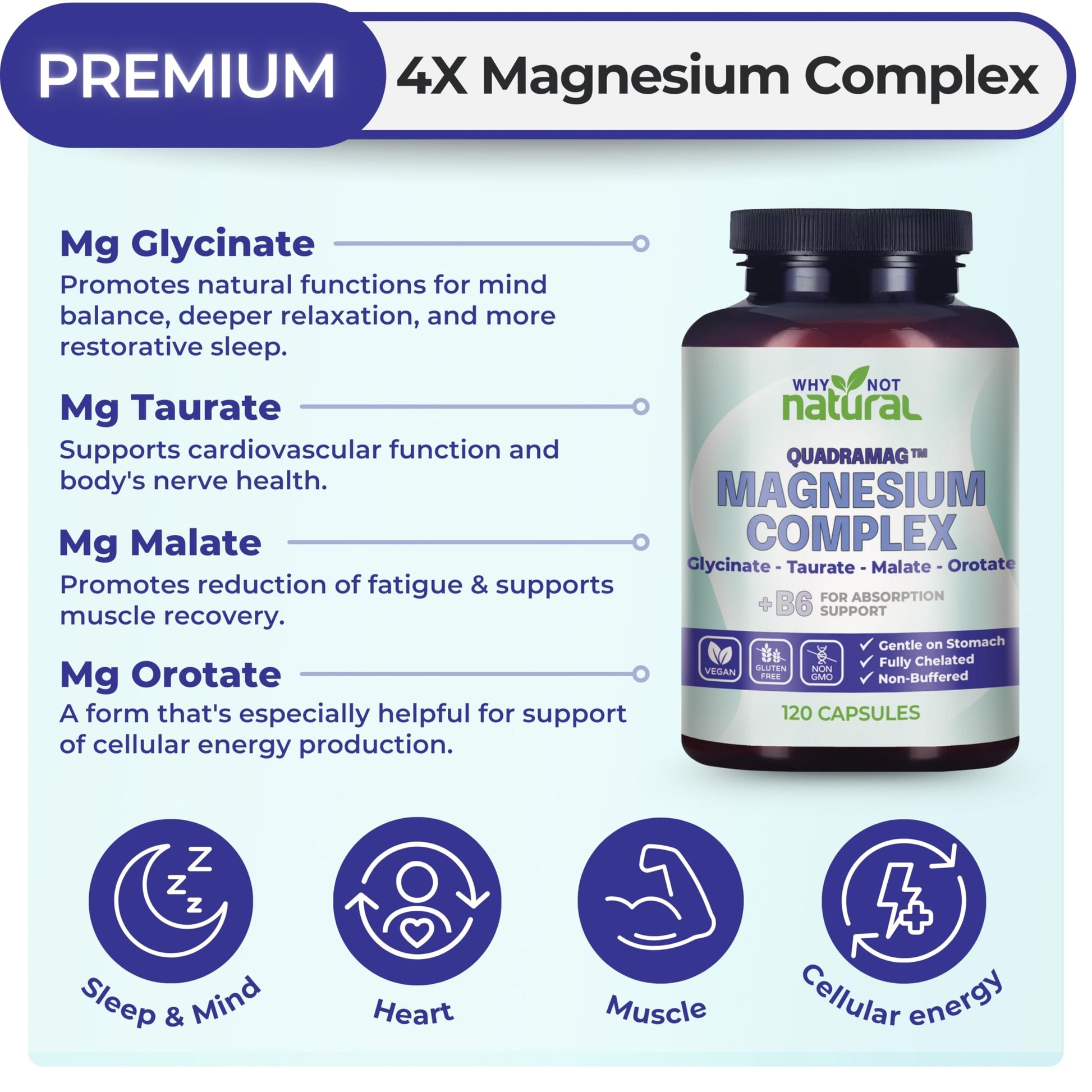 4-in-1 Magnesium Complex Supplement - Glycinate, Taurate, Malate, Orotate Blend - 300 mg per Serving, 120 Capsules Why Not Natural buy supplements Au