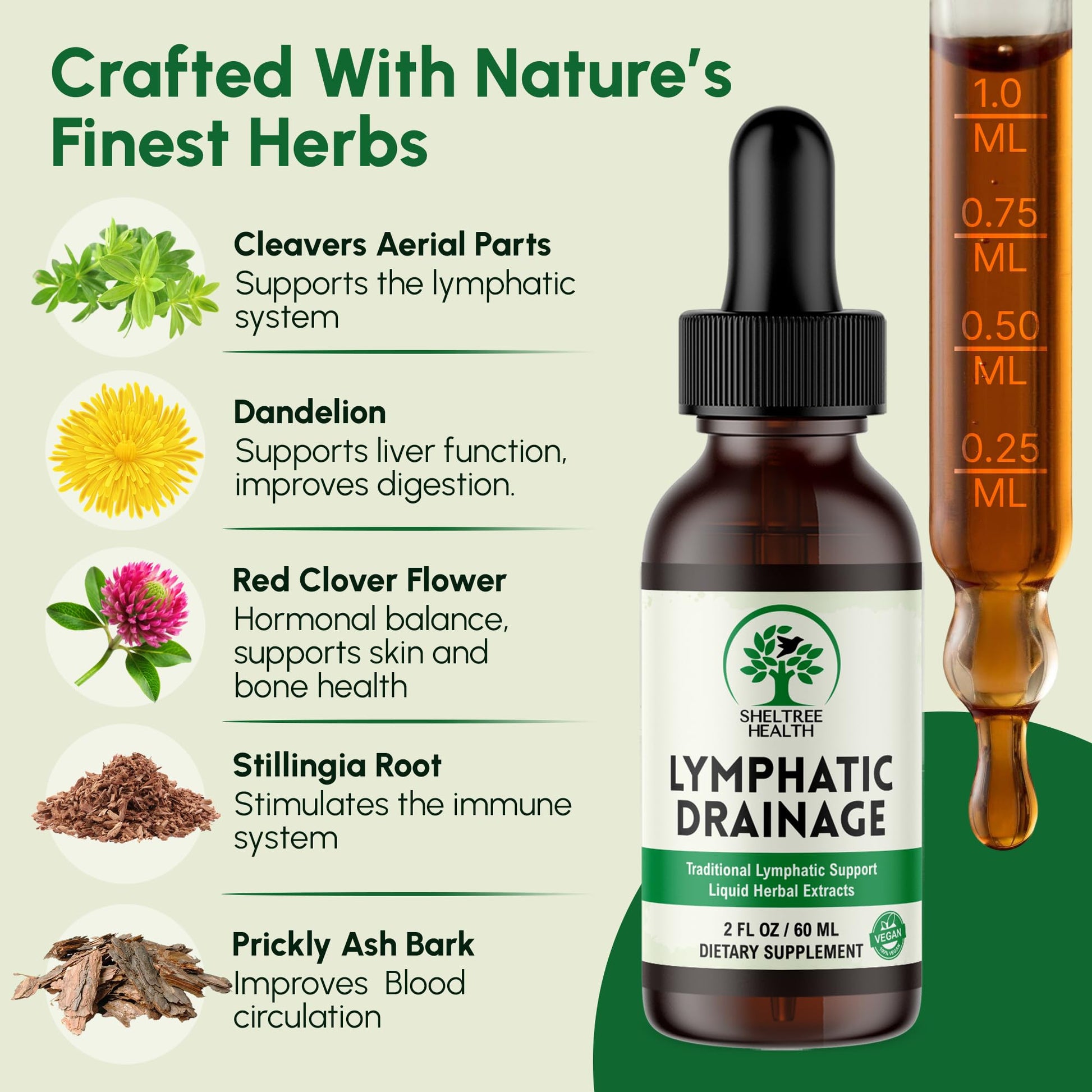 SHELTREE HEALTH Lymphatic Drainage Drops, 2 Fl. Oz | Organic Lymphatic Drainage Supplements with Cleavers, Red Clover Flower, Stillingia Root, Prickly Ash Bark, Dandelion | Vegan | Non-GMO SHELTREE HEALTH buy supplements Au
