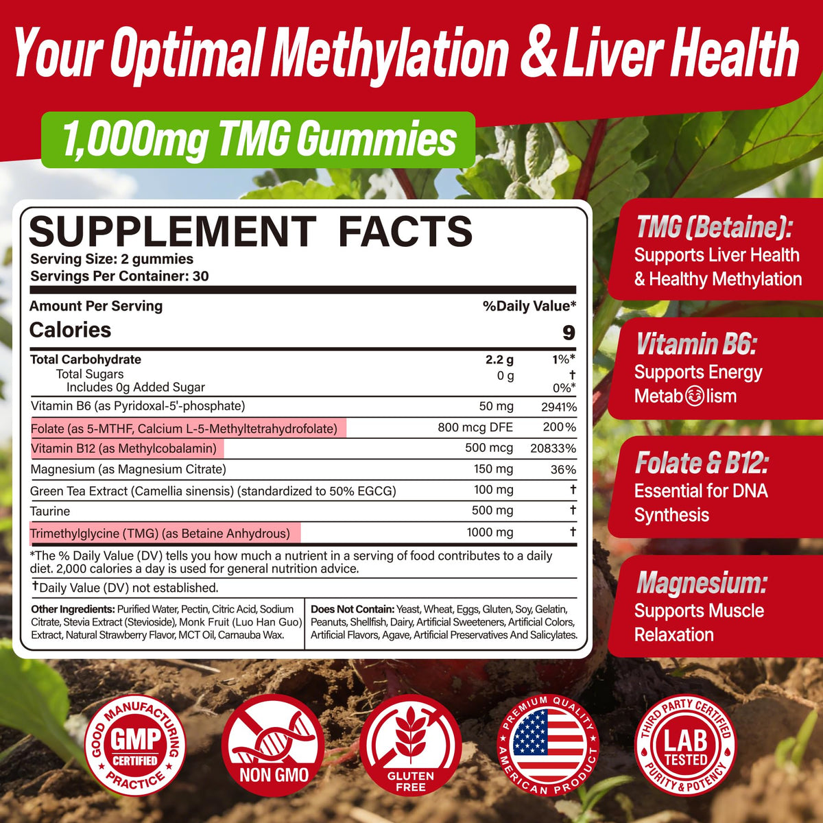 2Pack TMG Gummies 1000mg Betaine Anhydrous + Methylated Multivitamin & B Complex Methylated(Methylfolate B12 B6), Magnesium, Taurine - Essential Trimethylglycine for Homocysteine Levels, Brain, Energy NextdiaBuy Supplements Australia