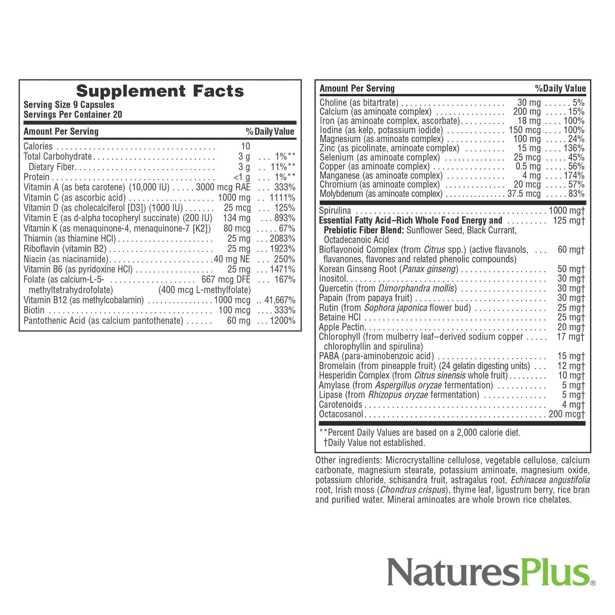 NaturesPlus Source of Life - 180 Capsules - Multivitamin & Mineral Supplement - Supports Natural Energy & Overall Well-Being - Gluten Free, Vegetarian - 20 Servings NaturesPlusBuy Supplements Australia