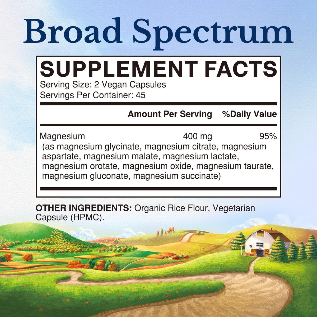 Vitalitown 10 in 1 Magnesium Complex Supplement - 400mg Elemental Magnesium Chelated with Glycinate, Citrate, Malate, Taurate & More - for Sleep Heart Energy - Non-GMO, Vegan, 90 Caps Vitalitown buy supplements Au