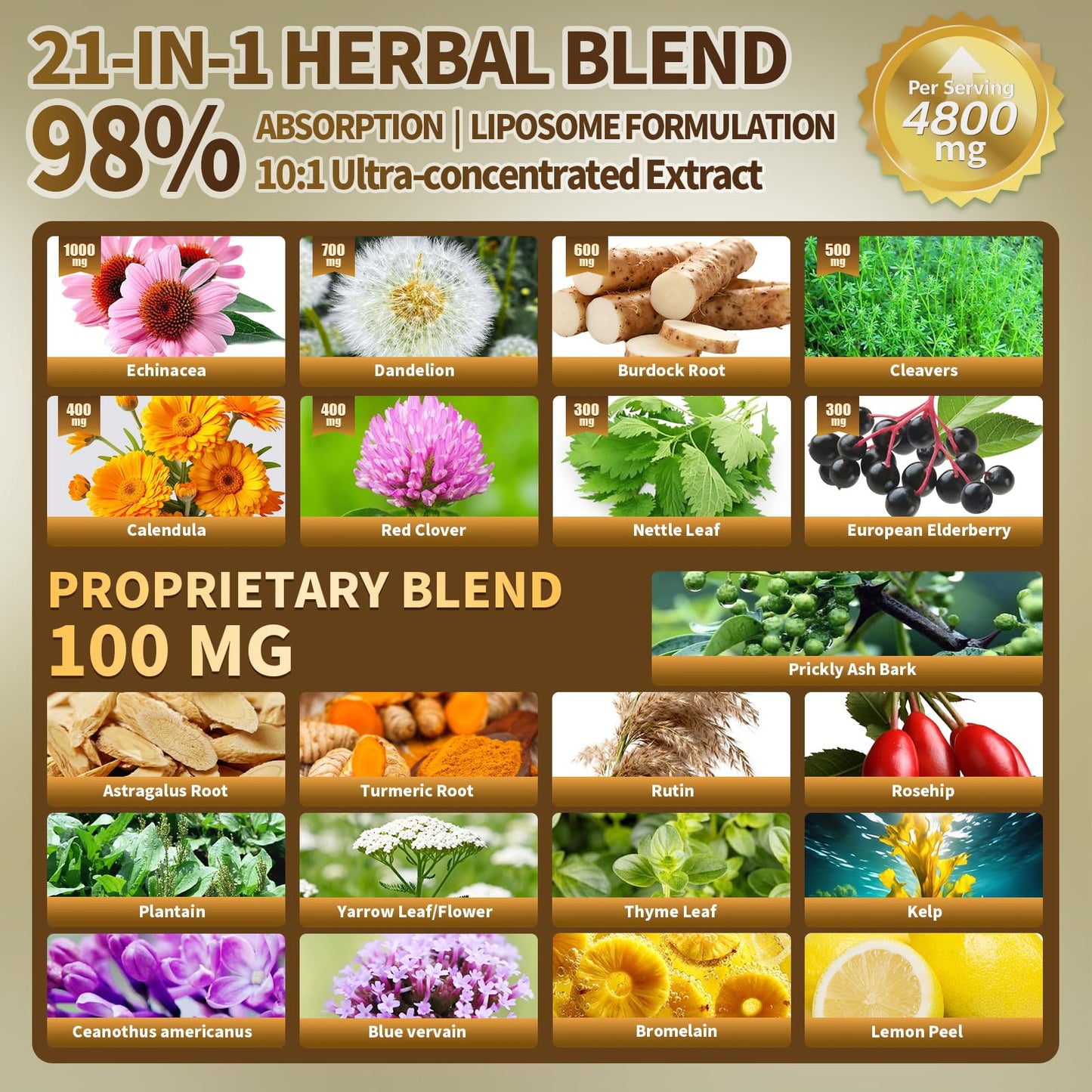21-in-1 Liposome Lymphatic Drainage Supplements, 45 Day Supply, 4800mg Immune & Lymph System Support, 10:1 Concentrated Technology, Echinacea, Dandelion, Burdock, Bromelain, Calendula, 90 Capsules VivoNu buy supplements Au