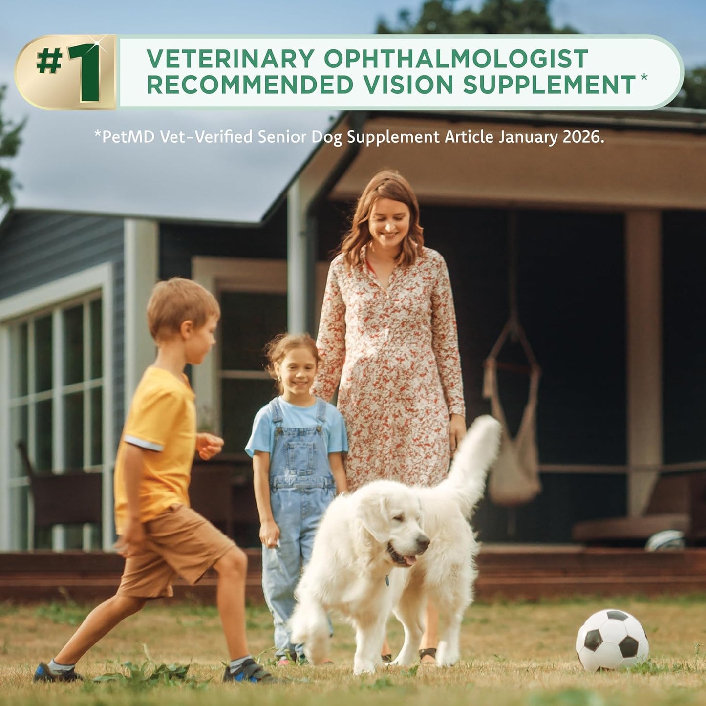 Cat & Dog Supplement for Eye Support - Chewable Vision Vitamins Supplements for Large and Small Pets Care with Lutein, Omega-3 Fatty Acids, Grape Seed Extract & Antioxidants