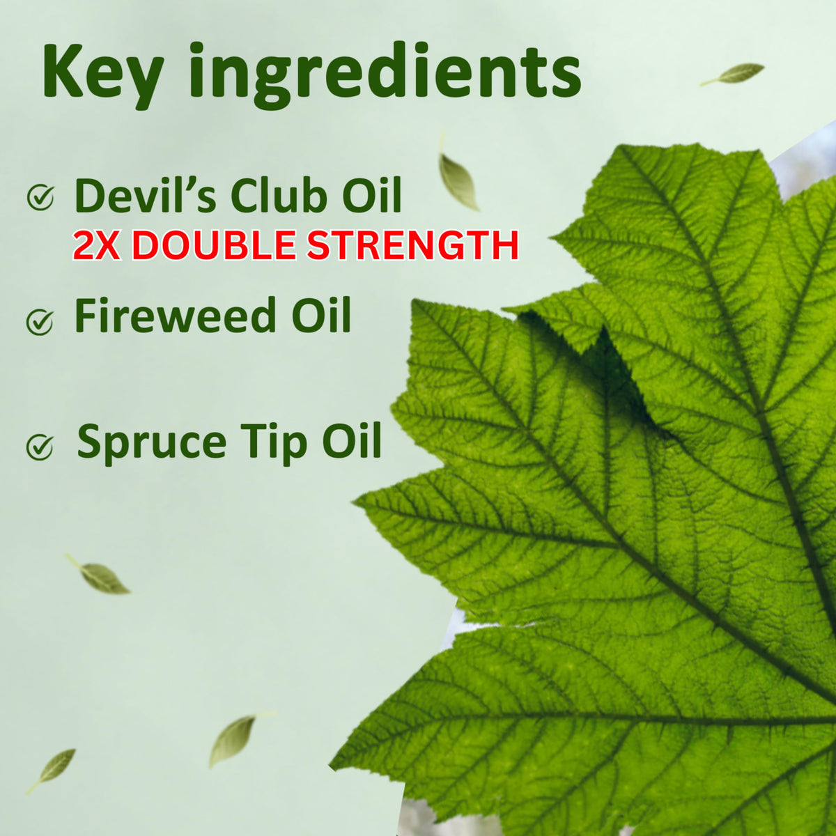 Snowy Summit Alaska Rainforest 2X Salve Stick - Salve for Dry Skin & Joint Relief - Natural Salve for Soothing Skin with Gentle Aroma - Body & Hand Salve - Muscle Rub Alaskan Devil’s Club Oil Snowy SummitBuy Supplements Australia
