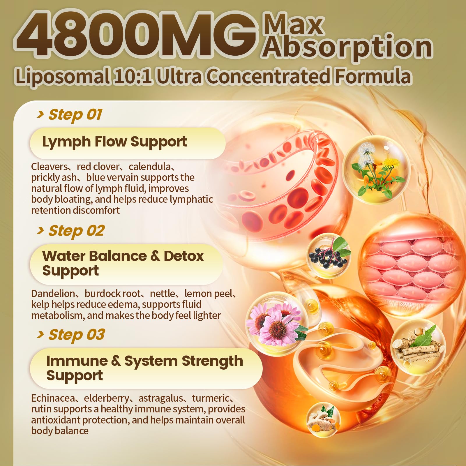 21-in-1 Liposome Lymphatic Drainage Supplements, 45 Day Supply, 4800mg Immune & Lymph System Support, 10:1 Concentrated Technology, Echinacea, Dandelion, Burdock, Bromelain, Calendula, 90 Capsules VivoNu buy supplements Au