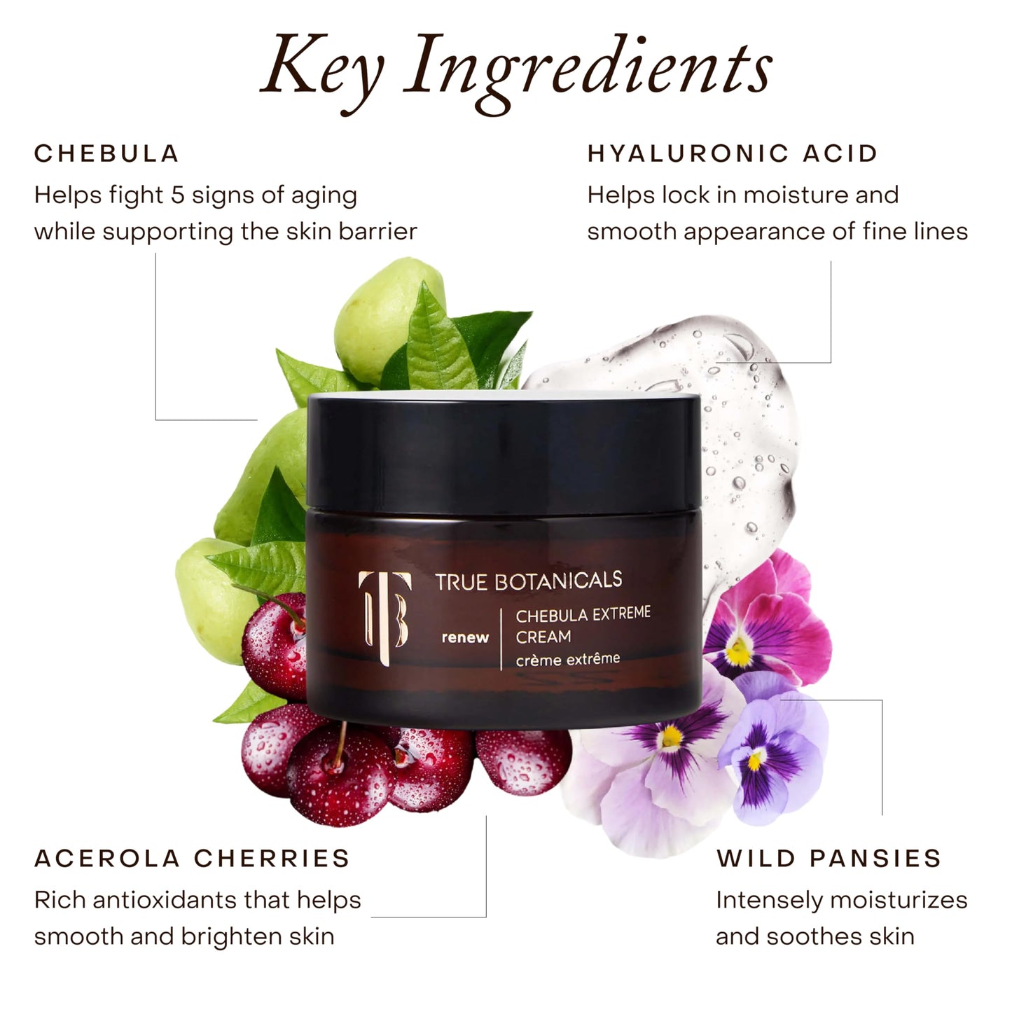 True Botanicals Chebula Extreme Cream | Anti-Aging Moisturizer w/Hyaluronic Acid | Treats Fine Lines & Wrinkles | Dry & Sensitive Skin | Dermatologist Tested, All Natural, Vegan | 1.7 oz | 50 ml True Botanicals buy supplements Au
