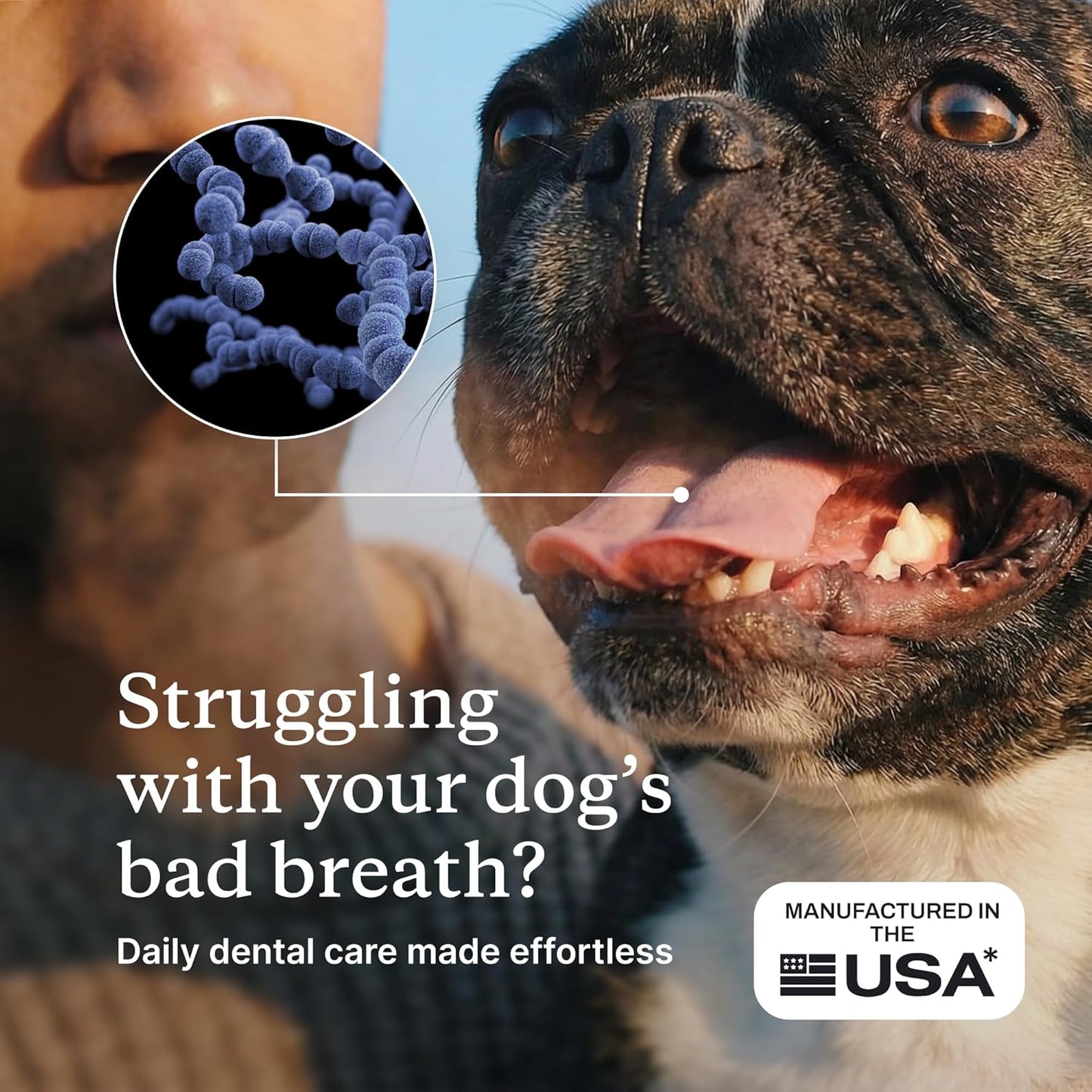 PetLab Co. ProBright Dental Powder - Dog Breath Freshener - Teeth Cleaning Made Easy – Targets Tartar & Bad Breath - Formulated for Medium Size Dogs - Pack of 2