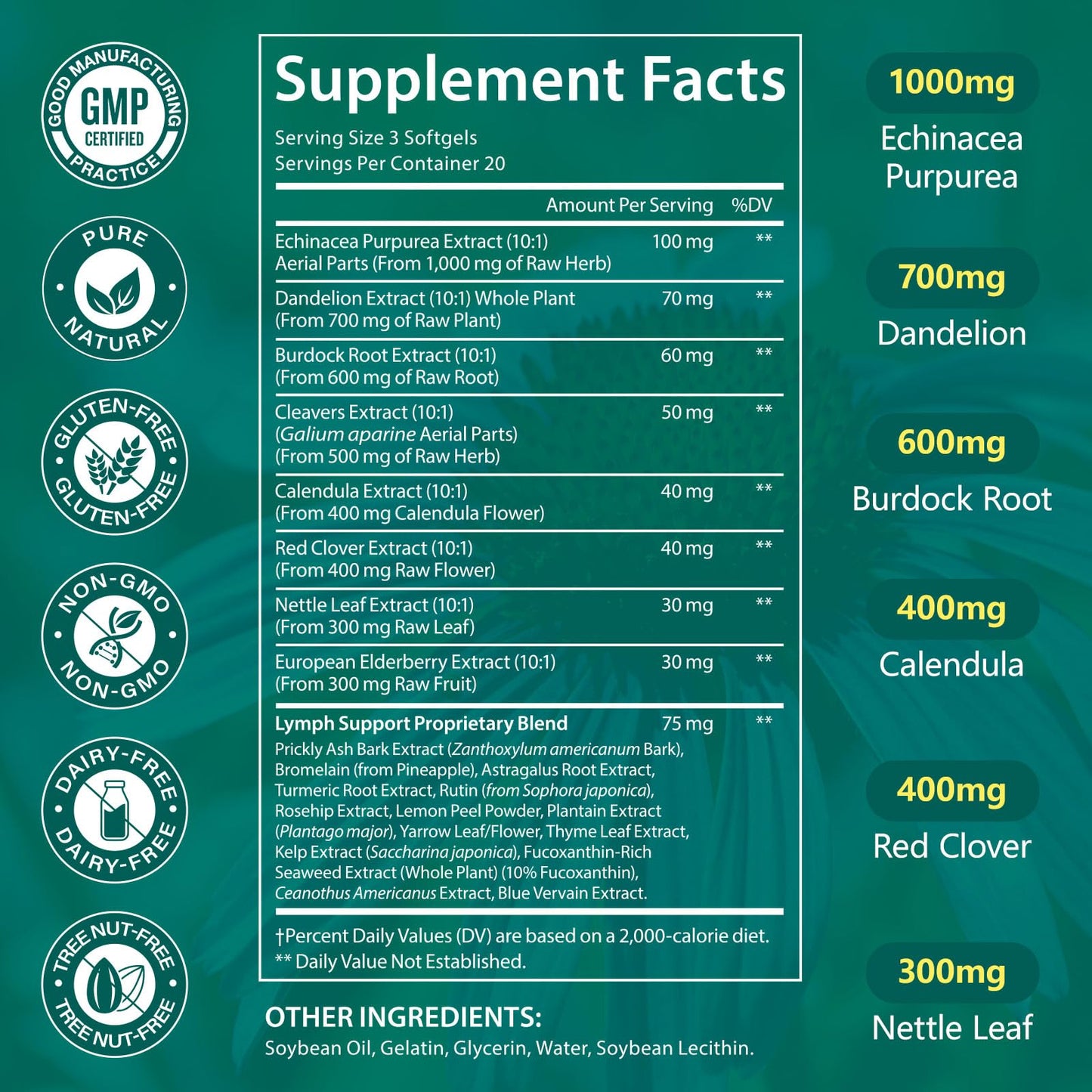 LTQXGT Lymphatic Support Supplement 60 Softgels– Advanced Botanical Complex with Echinacea, Dandelion & Elderberry – Antioxidant-Rich Daily Wellness Formula LTQXGT buy supplements Au