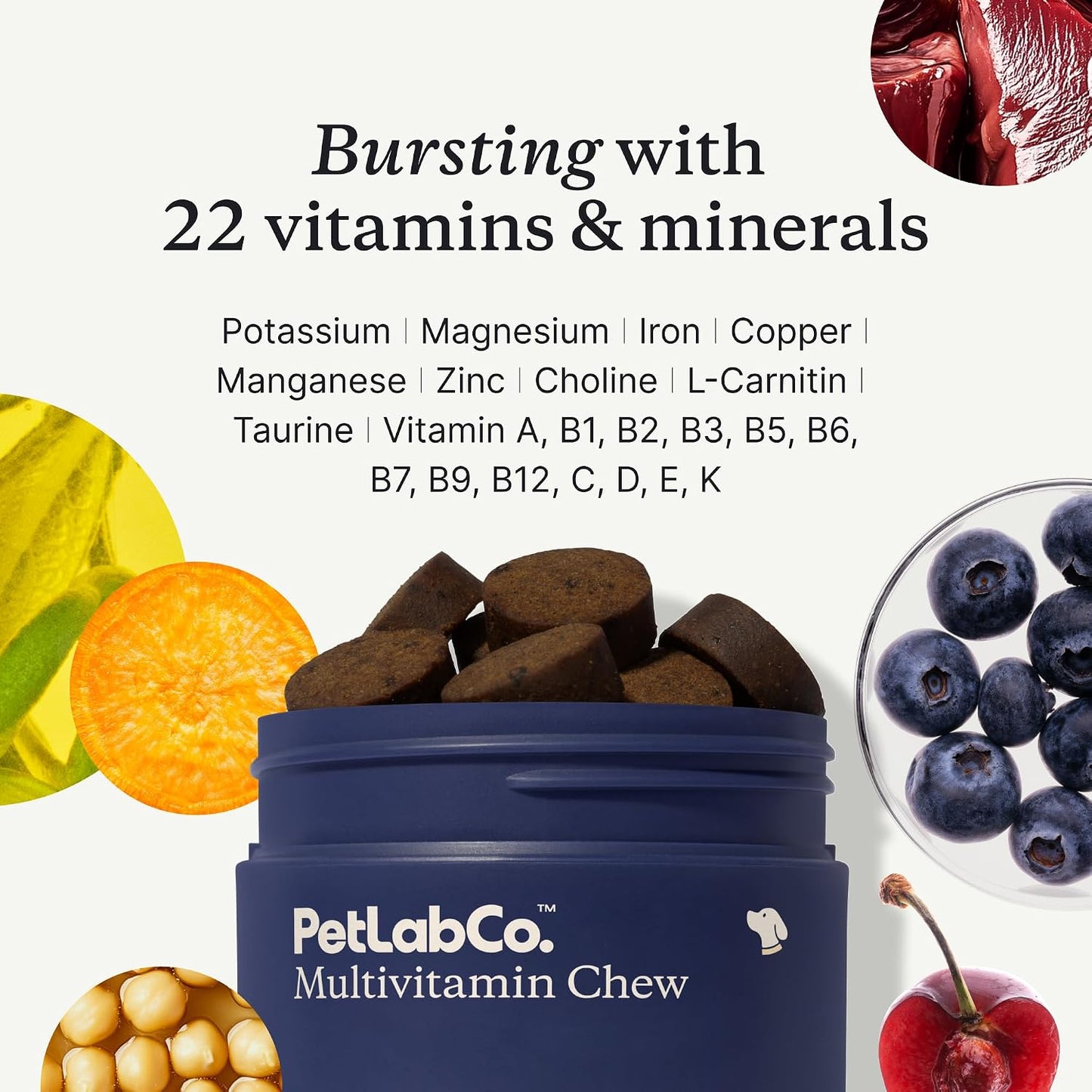 PetLab Co. – Multi-Vitamin & Dog Probiotic Bundle: Chewable Multivitamins for Dogs Support Health & Dog Probiotics to Support Itchy Skin, Occasional Loose Stools, and Healthy Yeast Production