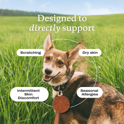 PetLab Co. Itch Relief Chew Pro for Dogs, 30 Soft Chews, Pork | Quercetin, biotin and antioxidants in an omega-rich formula to support itch relief and skin hydration