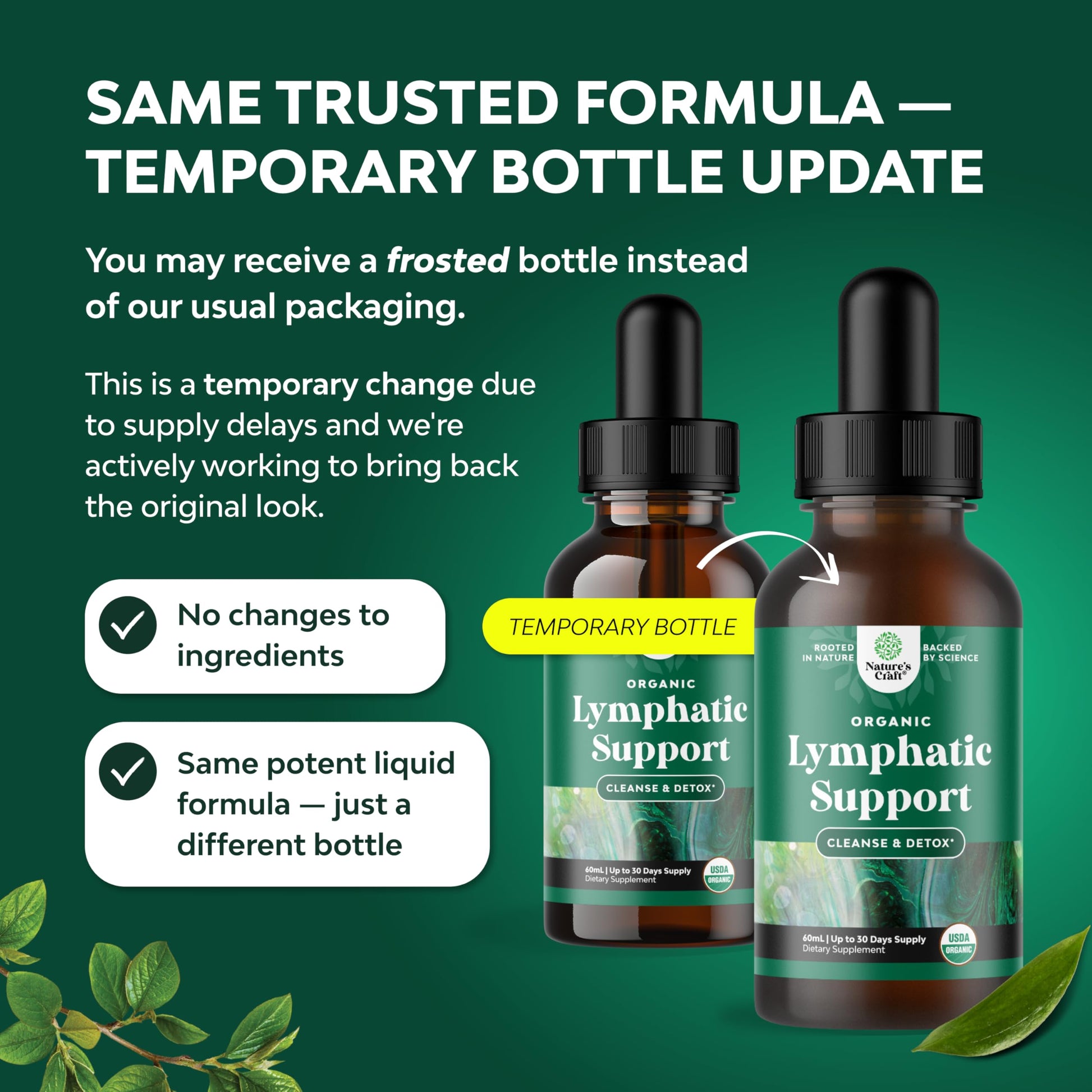 Organic Lymphatic Support Drainage Drops - Herbal Lymphatic Cleanse and Immune Support Supplement with Organic Echinacea Goldenseal & Red Clover Extract - Vegan Non GMO and Alcohol Free - 2 Fl Oz Natures Craft buy supplements Au