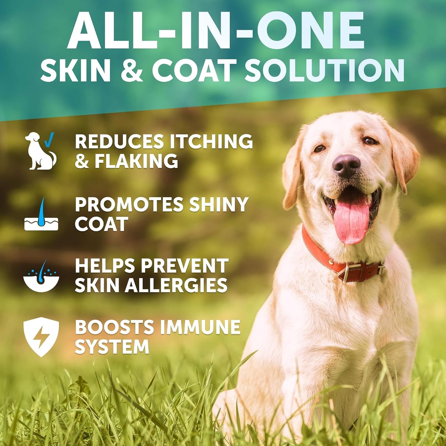 Omega 3 Fish Oil for Dogs - Dog Allergy Chews - Itch Relief & Skin and Coat Supplement with Salmon Oil - Hot Spots Treatment - Allergy & Anti Shedding Support - EPA & DHA Fatty Acids - 120 Treats