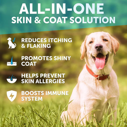 Omega 3 Fish Oil for Dogs - Dog Allergy Chews - Itch Relief & Skin and Coat Supplement with Salmon Oil - Hot Spots Treatment - Allergy & Anti Shedding Support - EPA & DHA Fatty Acids - 120 Treats