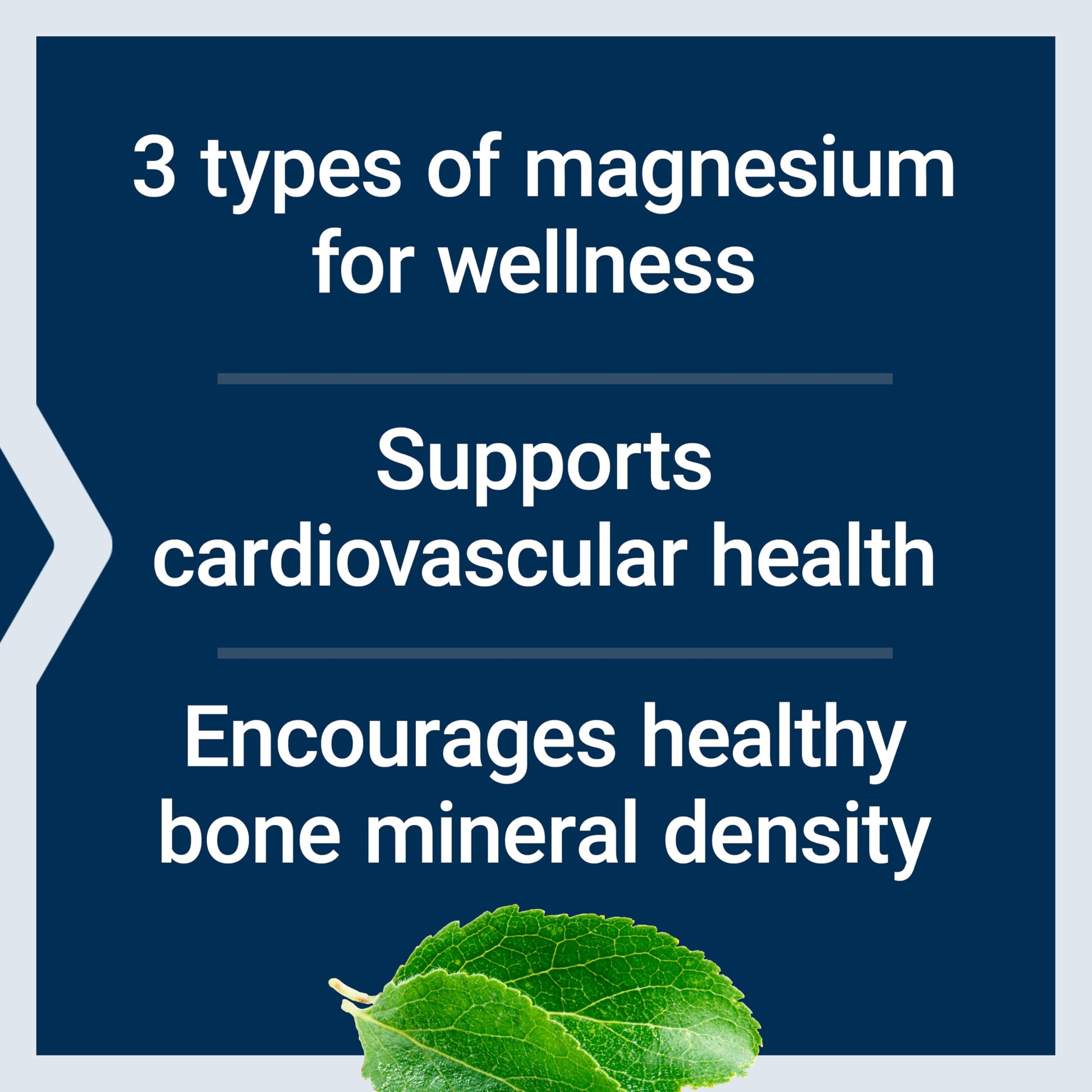 Life Extension Magnesium Caps, 500 mg, Magnesium Oxide, Citrate, and Succinate, Heart Health, Healthy Bones, Metabolism Support, 100 Vegetarian Capsules Life Extension buy supplements Au