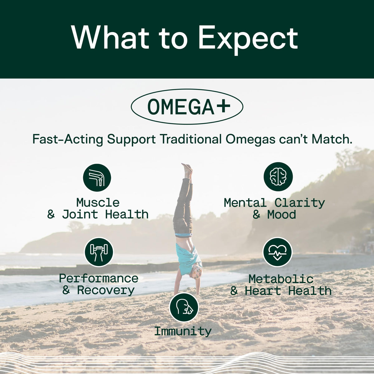 Adapt Naturals Omega 3 Fish Oil Supplement with Bioavailable Curcumin & Black Seed, 1500mg Fish Oil EPA DHA Omega 3 Fatty Acids to Support Joints, Muscles & Heart | Unflavored - 30 Days Supply ADAPT NATURALS BY CHRIS KRESSER buy supplements Au