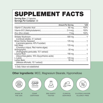 Simplix | Natural Supplement to Strengthen The Immune System | Respond to Outbreaks | Source of Highly Researched Mushroom & Seaweed Polysaccharides 60 Veggie Capsules (1 Pack)