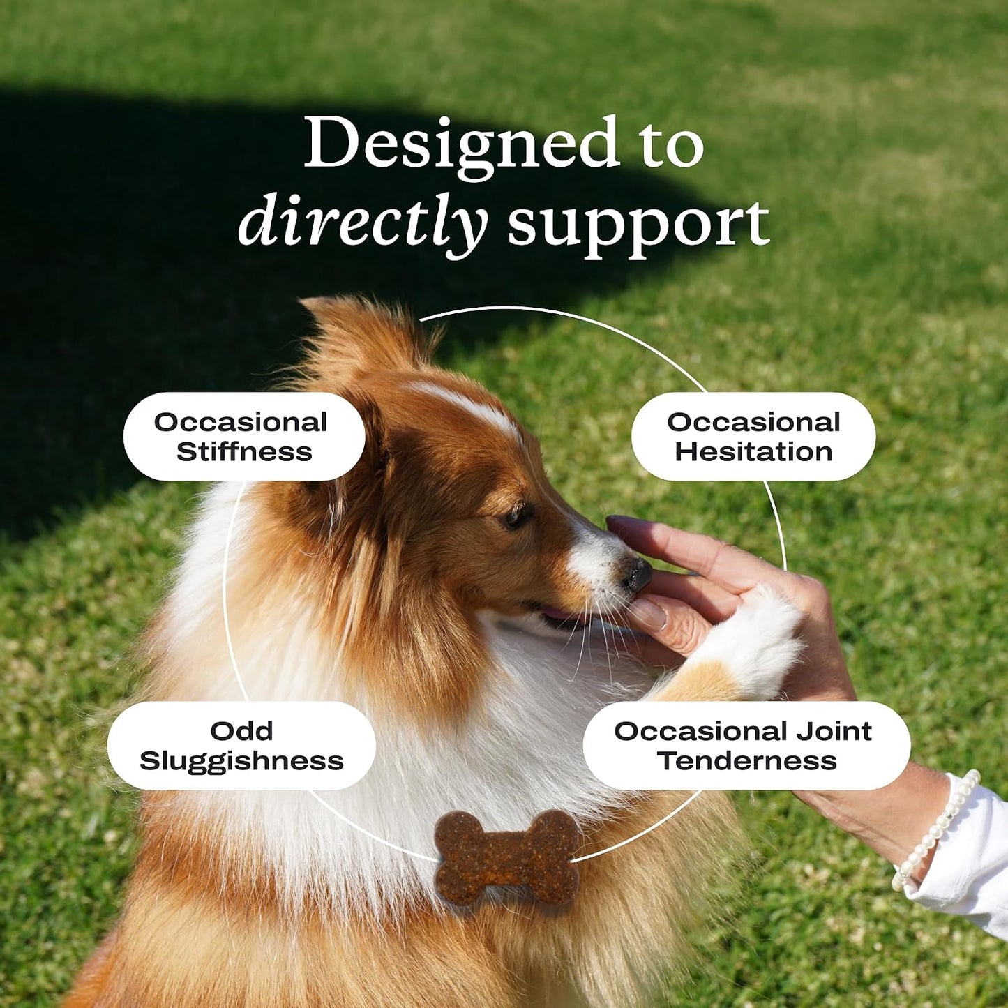 PetLab Co. – Mobility & Gut Health Bundle: Dog Probiotic for Gut Health, Healthy Yeast Production, & Seasonal Allergies 30 Count & Joint Supplement for Dogs Supporting Mobility & Occasional Stiffness