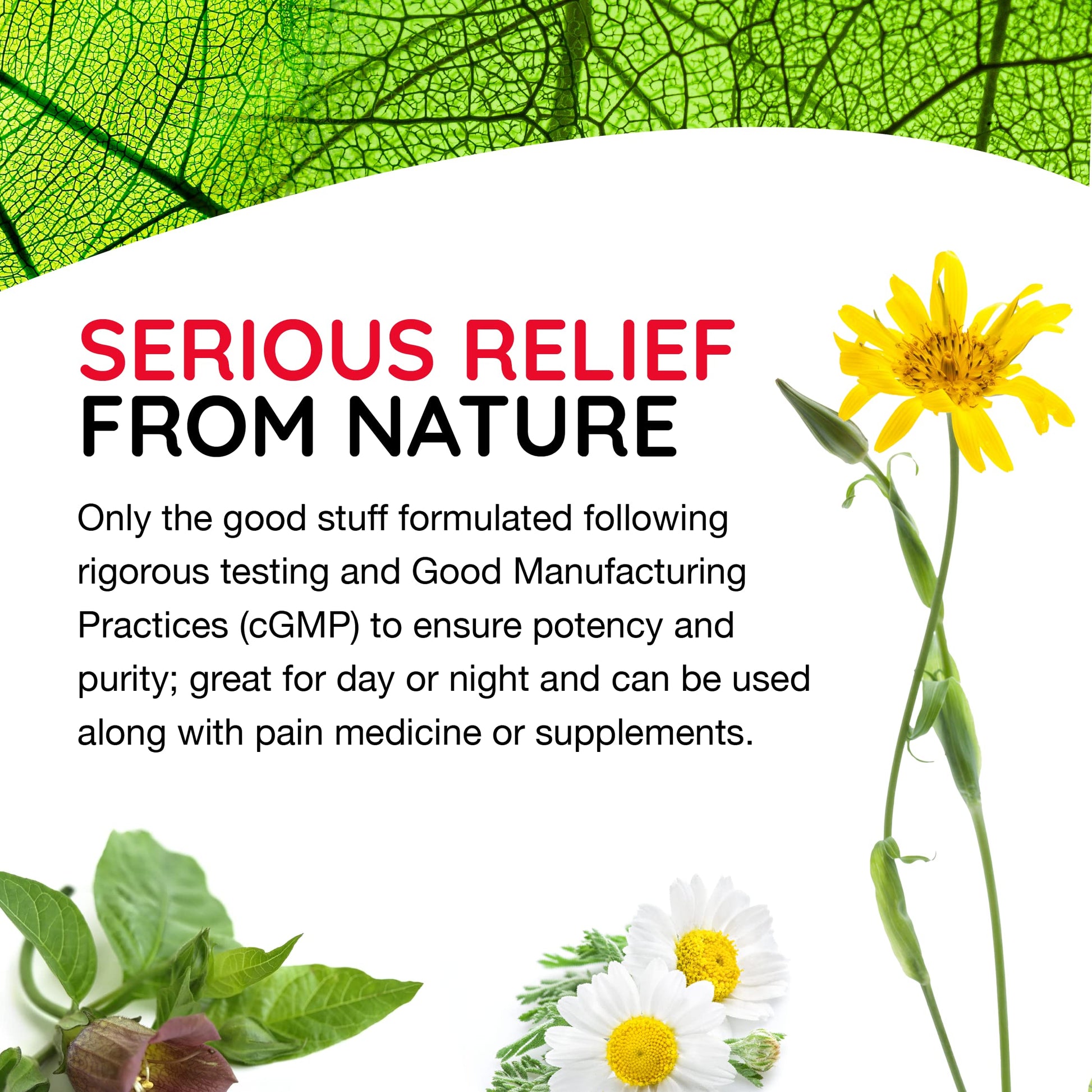 T-Relief Arnica +12 Cream Natural Relieving Actives for Back Pain Joint Soreness Muscle Aches & Stiffness, Whole Body Fast Acting Relief for Women & Men - 4 oz (4 Pack) MediNaturaBuy Supplements Australia