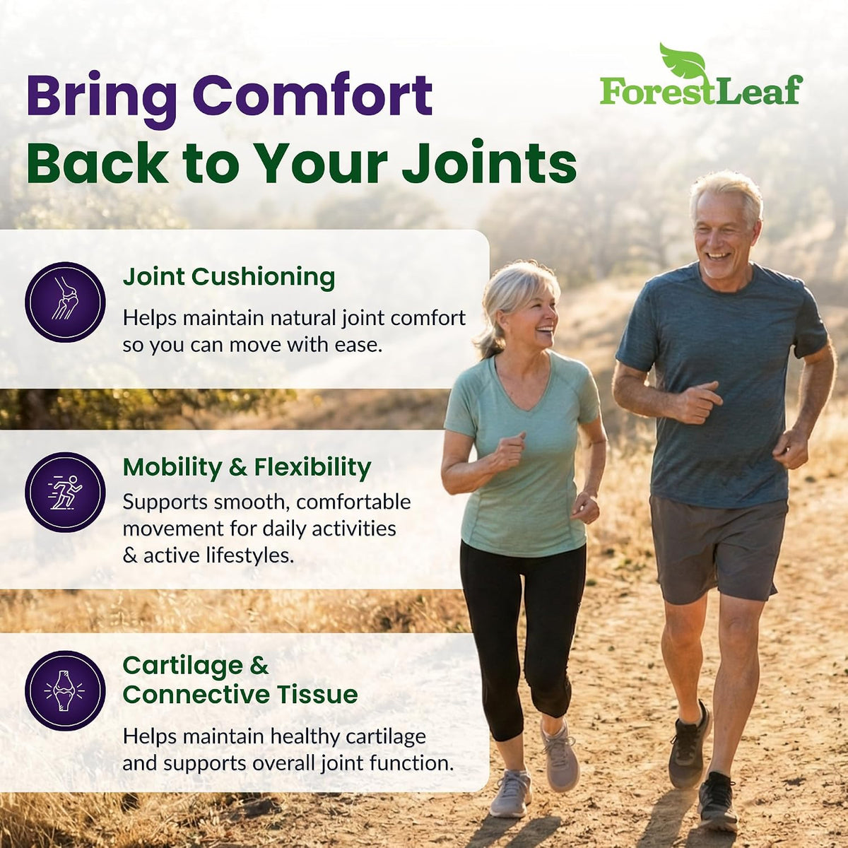 ForestLeaf Glucosamine Chondroitin MSM Joint Supplement Complex - 1200mg - 120 Caps