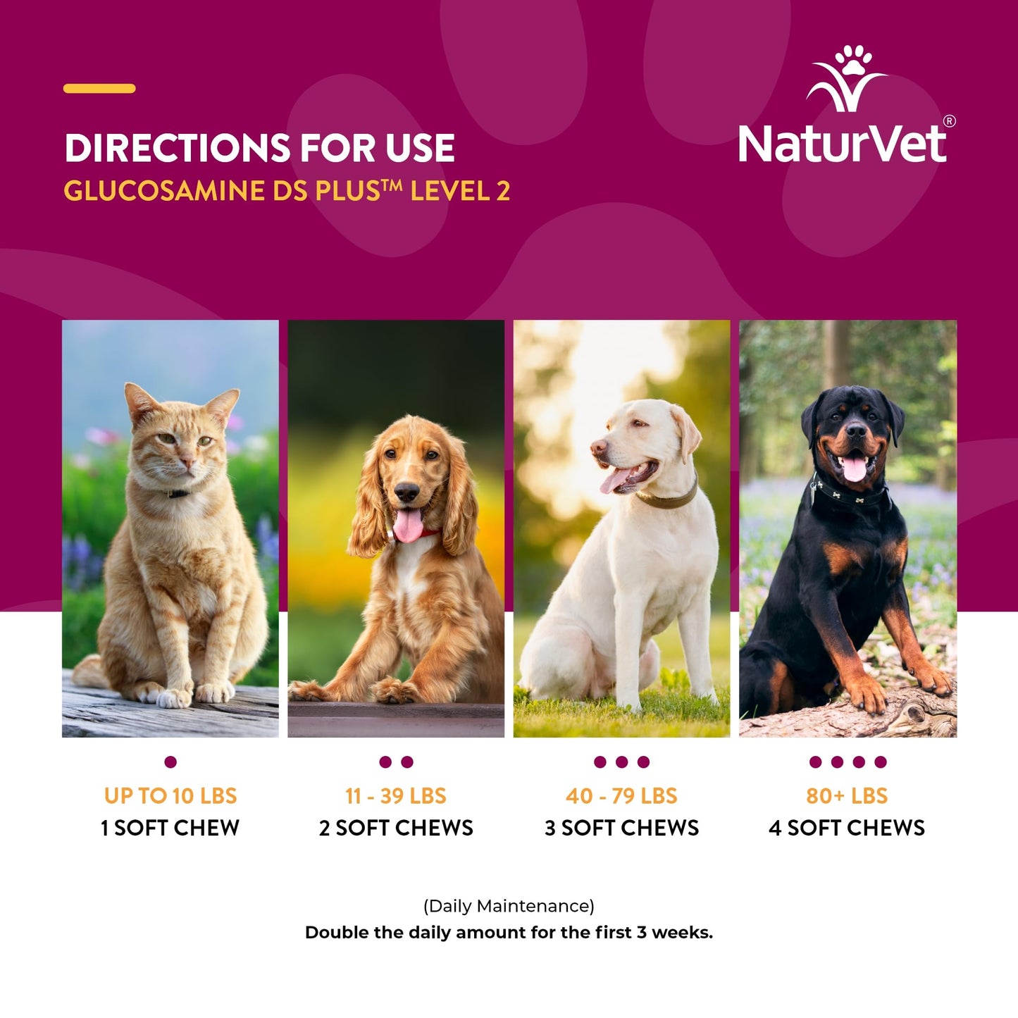 NaturVet – Glucosamine DS Plus - Level 2 Moderate Care – Supports Healthy Hip & Joint Function – Enhanced with Glucosamine, MSM & Chondroitin – for Dogs & Cats – 240 Soft Chews NaturVetBuy Supplements Australia