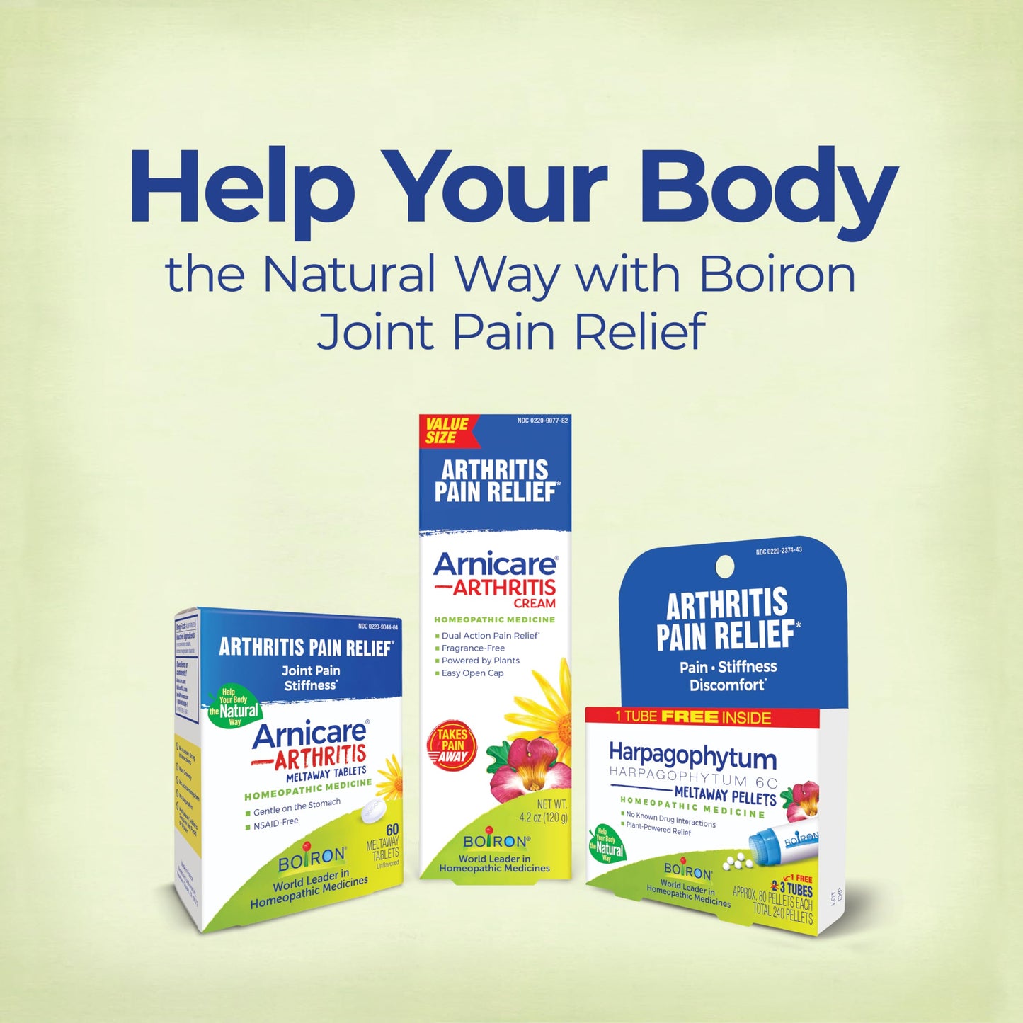 Boiron Arnicare Arthritis Cream for Pain Relief of Knees, Hands, Wrists, Elbows, Joints & Muscles – Quickly Absorbed & Fragrance-Free – 2.5 oz BoironBuy Supplements Australia