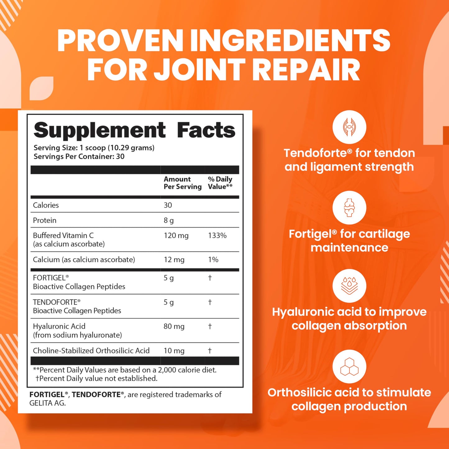 SaltWrap Collagen Synthesis - Collagen Peptides for Joints with Fortigel, Tendoforte, Best Collagen Powder for Tendons, Ligaments, and Cartilage Recovery and Repair, NSF Certified for Sport SaltWrap buy supplements Au