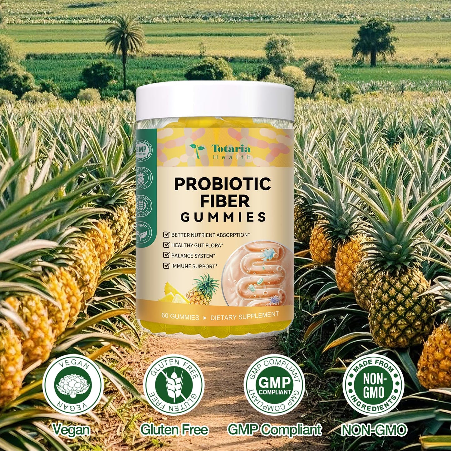 9-in-1 Probiotic Prebiotic Fiber Gummies for Adults & Teens, Fiber Supplement Pro with 5 Billion CFU Bacillus Coagulans, Psyllium Husk, FOS, Inulin, ACV for Digestion - PrimeBioHealth - canada supplements